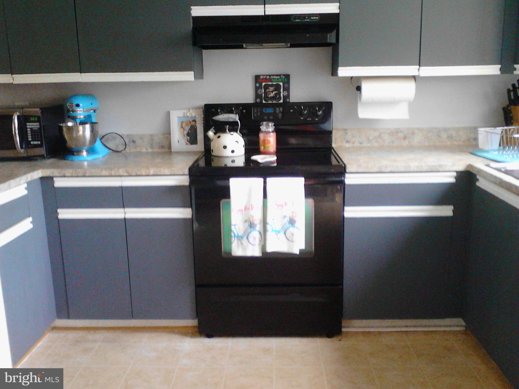 365 Capetowne Road Arnold, MD 21012 - Photo 2 of 20 Plenty of Cabinets & Good Counterspace