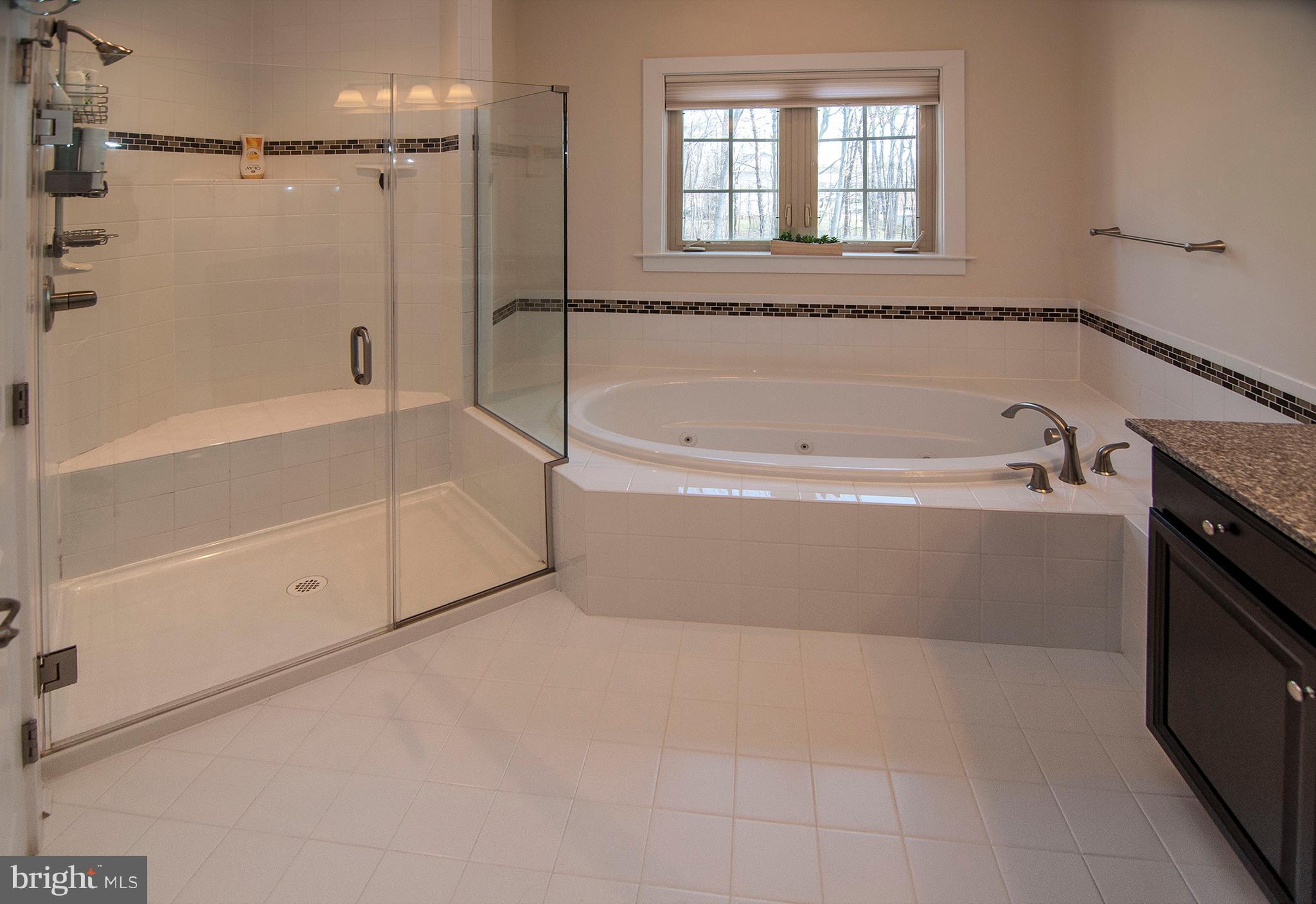 7868 Patterson Way Hanover, MD 21076 - Photo 17 of 27 Bath (Master)