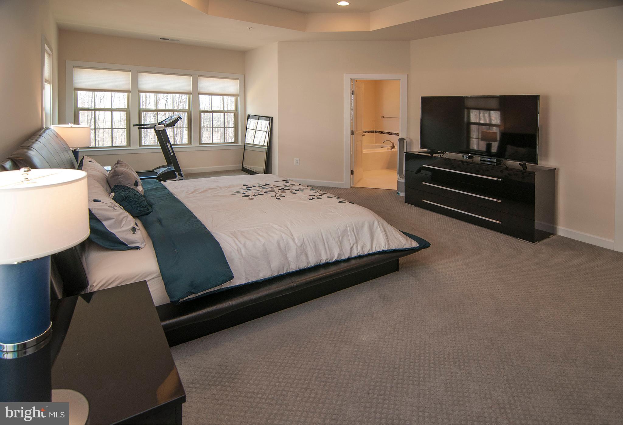7868 Patterson Way Hanover, MD 21076 - Photo 19 of 27 Bedroom (Master)