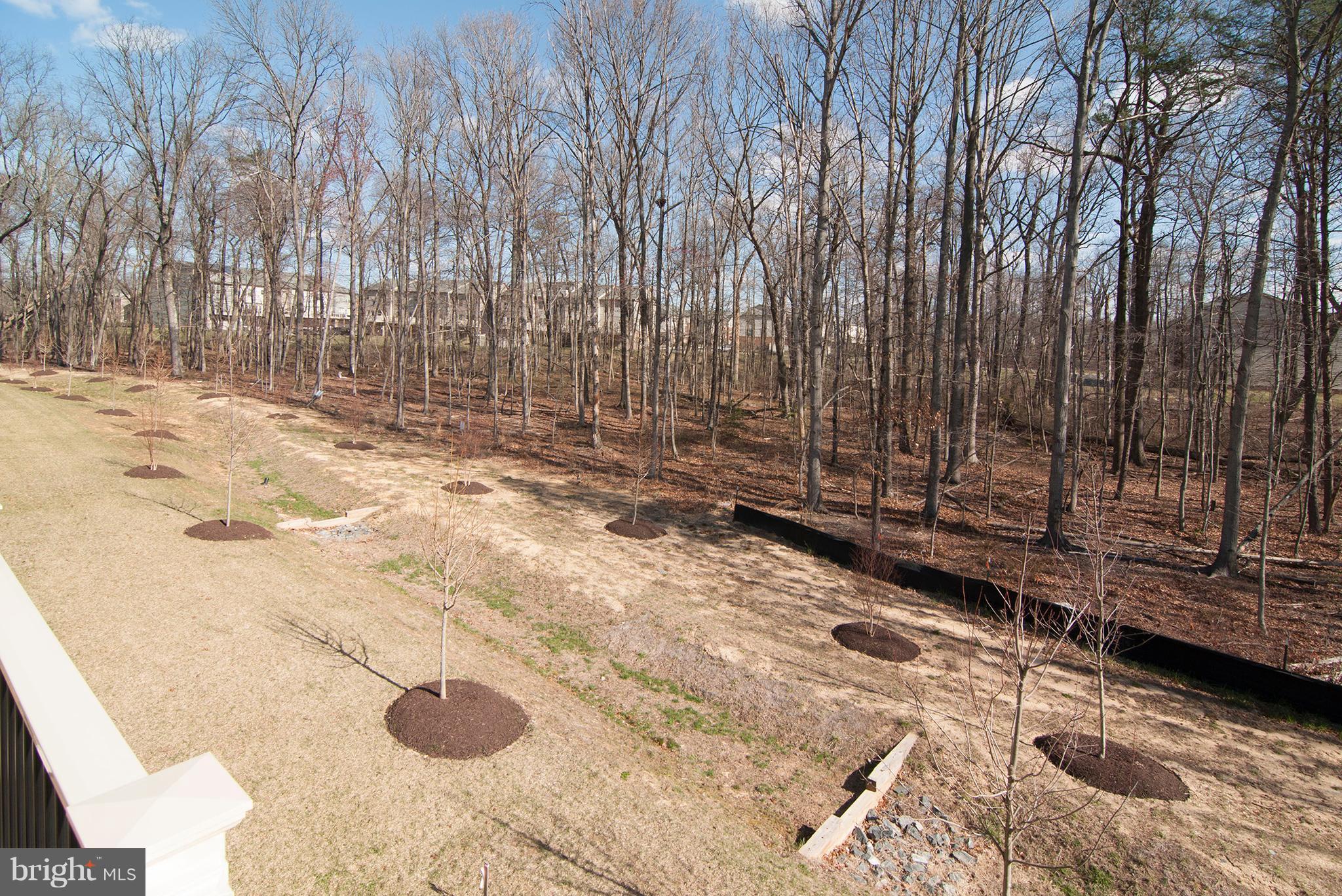 7868 Patterson Way Hanover, MD 21076 - Photo 4 of 27 Exterior (Rear)