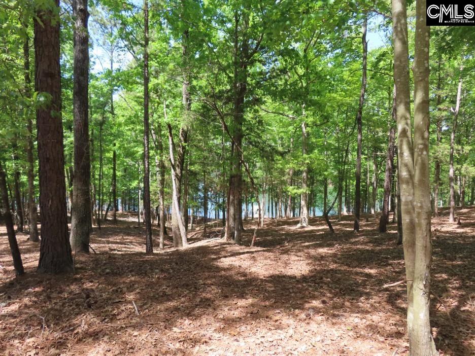 201 State Rd S-20-99 Blair, SC 29015 - Photo 39 of 61