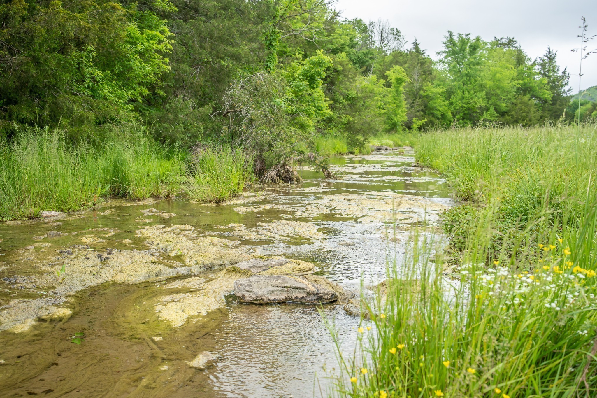 521 Coop Road Bell Buckle, TN 37020 - Photo 14 of 63