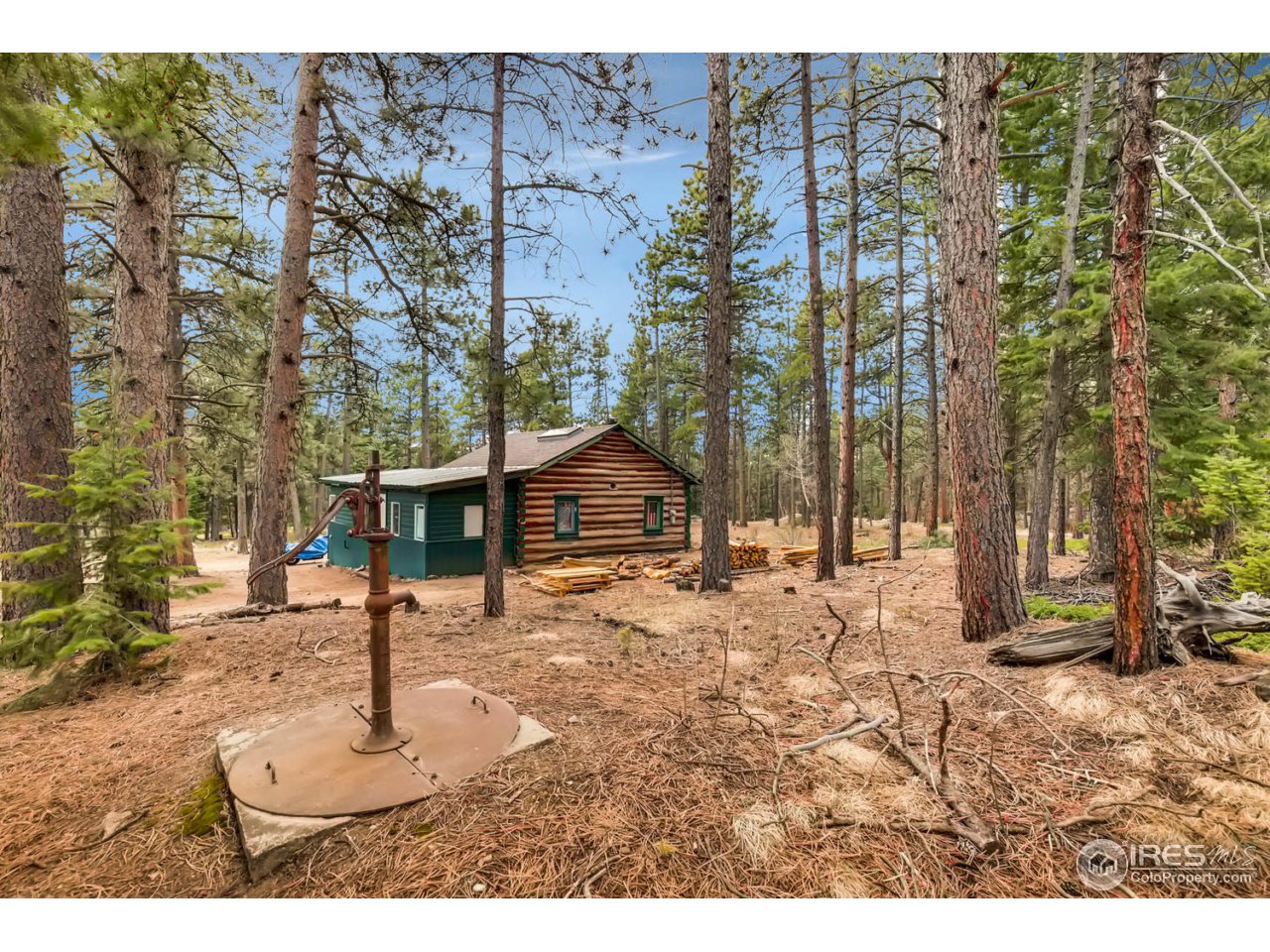 8537 Doubleheader Ranch Road Morrison, CO 80465 - Photo 17 of 40 a fire hydrant in middle of the forest