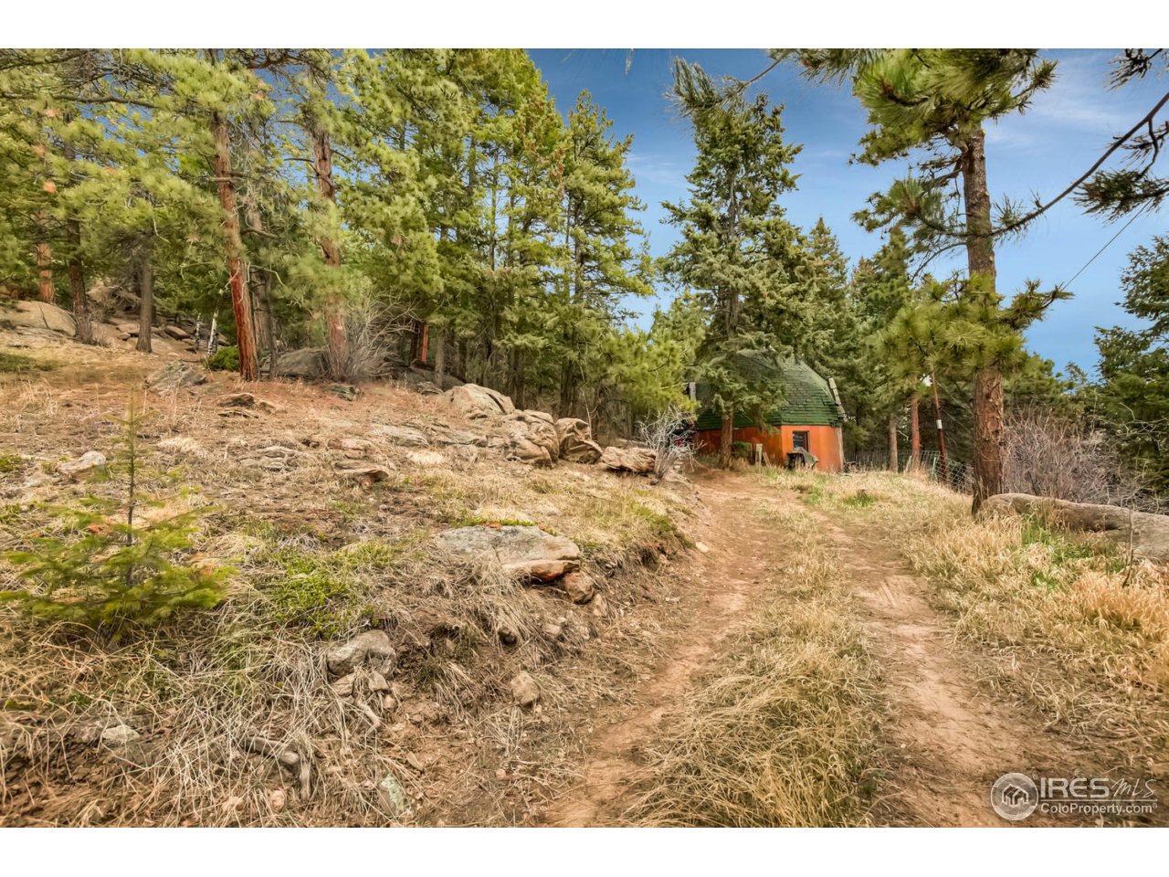 8537 Doubleheader Ranch Road Morrison, CO 80465 - Photo 21 of 40 a view of outdoor space and yard