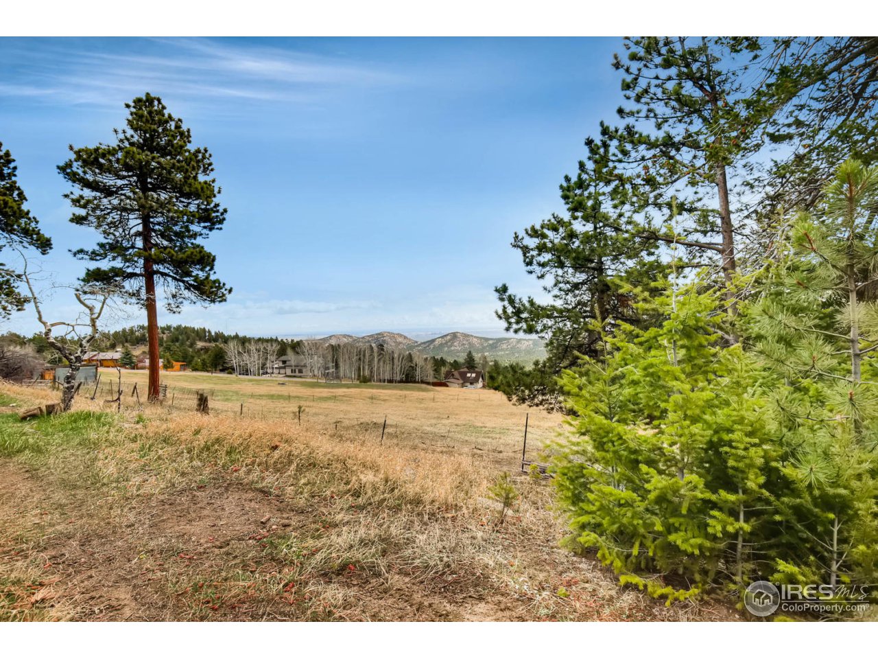 8537 Doubleheader Ranch Road Morrison, CO 80465 - Photo 26 of 40 a view of an outdoor space and trees