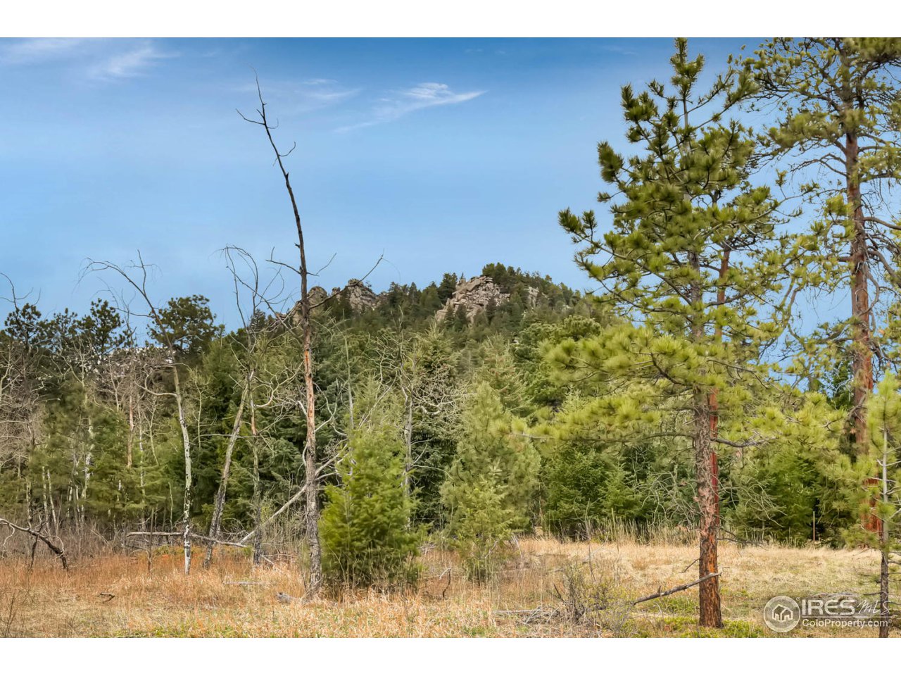 8537 Doubleheader Ranch Road Morrison, CO 80465 - Photo 39 of 40 a view of a yard