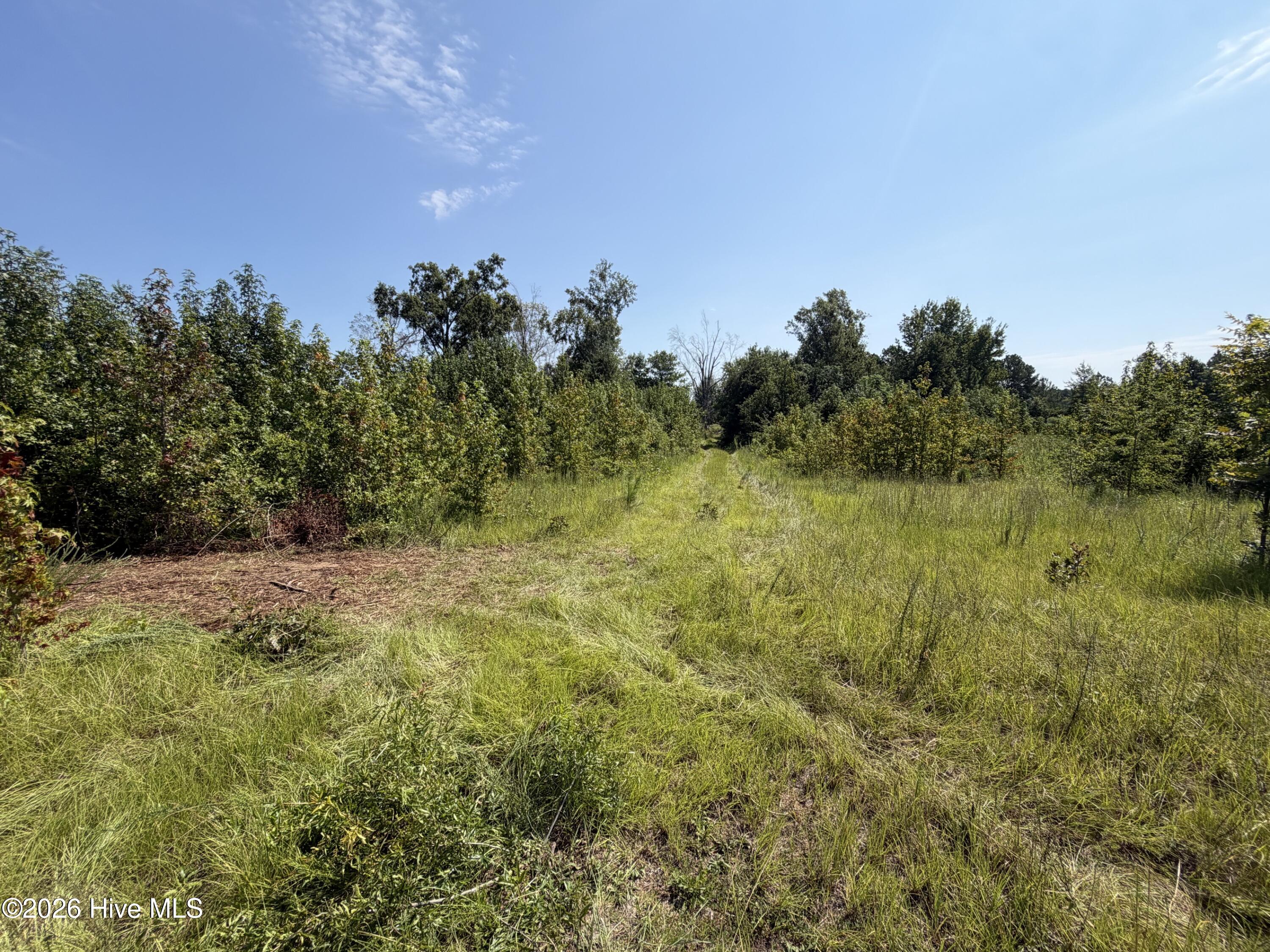0 Poole Melton Road Blythe, GA 30805 - Photo 2 of 14 Gallery Image 2