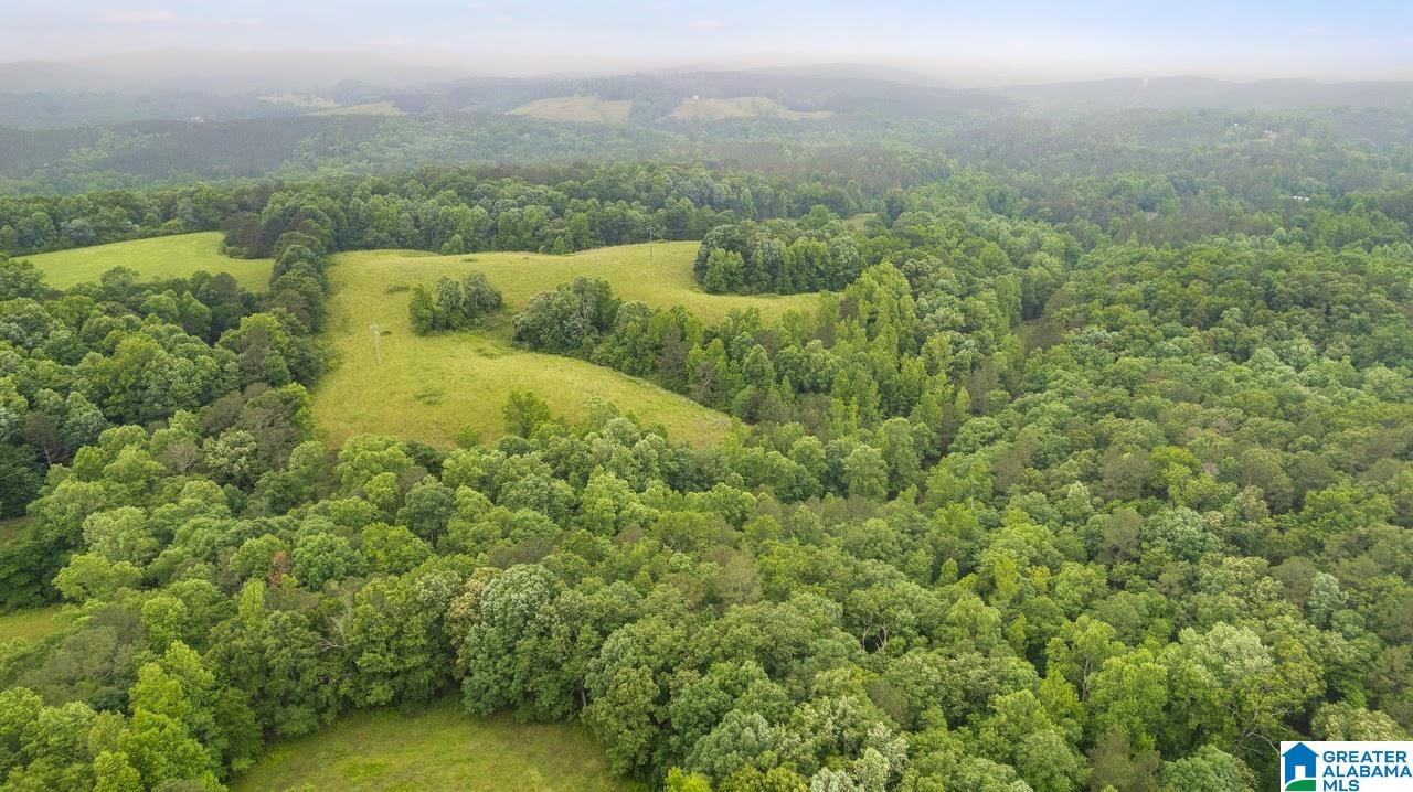 14791 County Road 10, Unit 45 ACRES Ranburne, AL 36273 - Photo 18 of 43
