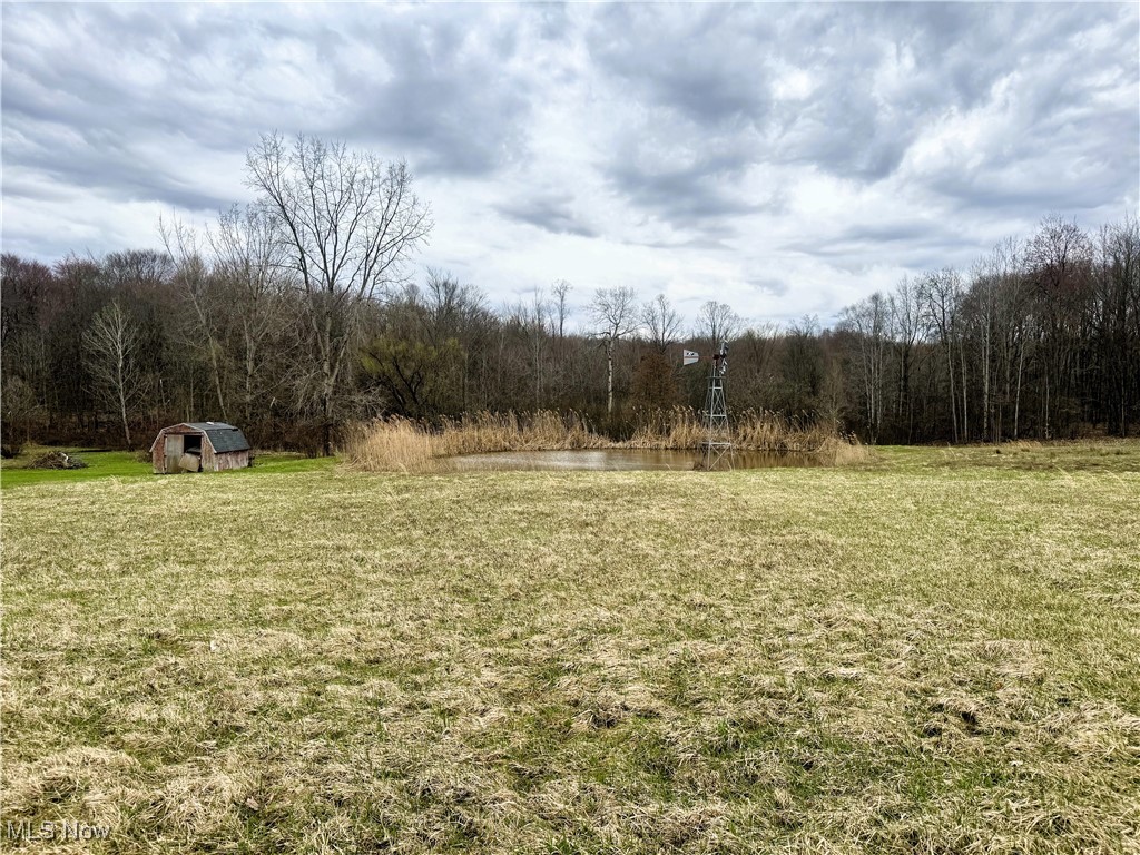 1826 East Morgan Meaney Road Jefferson, OH 44047 - Photo 3 of 22