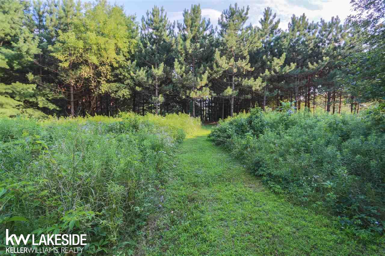 465 Mack Road Leonard, MI 48367 - Photo 20 of 84