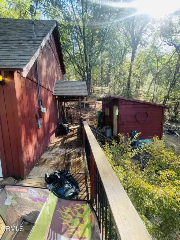 a view of a backyard with plants
