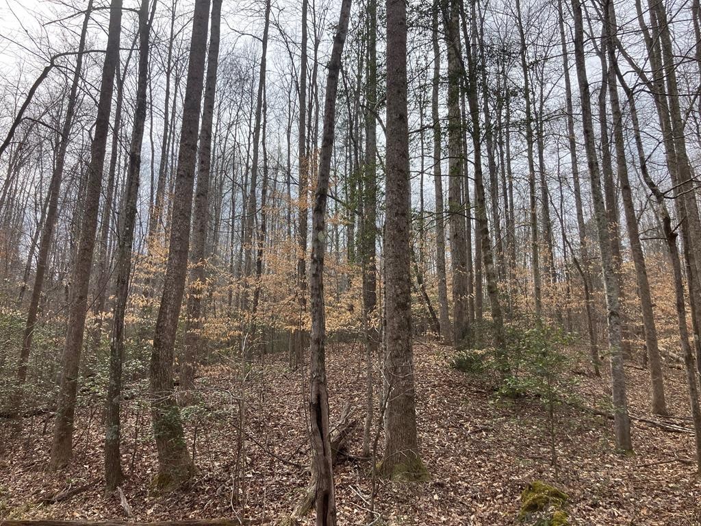 213 Wynn Ferry Road Big Sandy, TN 38221 - Photo 9 of 11