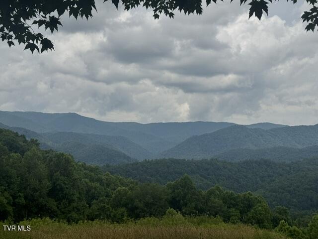 Tbd Tbd Sugar Loaf Mountain Road Marshall, NC 28753 - Photo 4 of 5 IMG_2813
