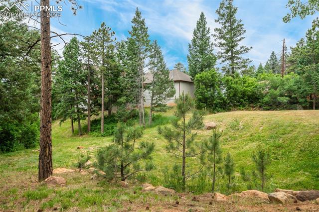 4735 Red Forest Road Monument, CO 80132 - Photo 45 of 50 Back/side yard