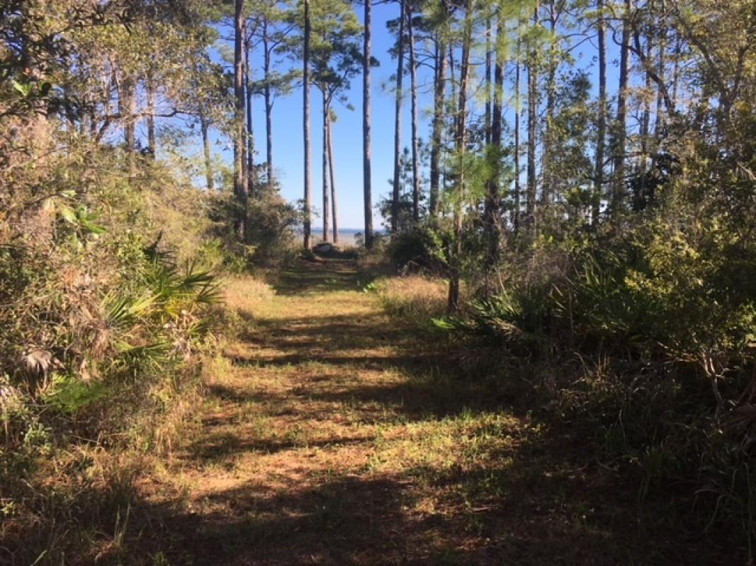 Lot 7 Paradise Point Lane Santa Rosa Beach, FL 32459 - Photo 7 of 15 7