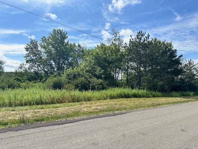 10284 Mattoon Road Prattsburgh, NY 14873 - Photo 15 of 16 Left side of the property border with mature trees.