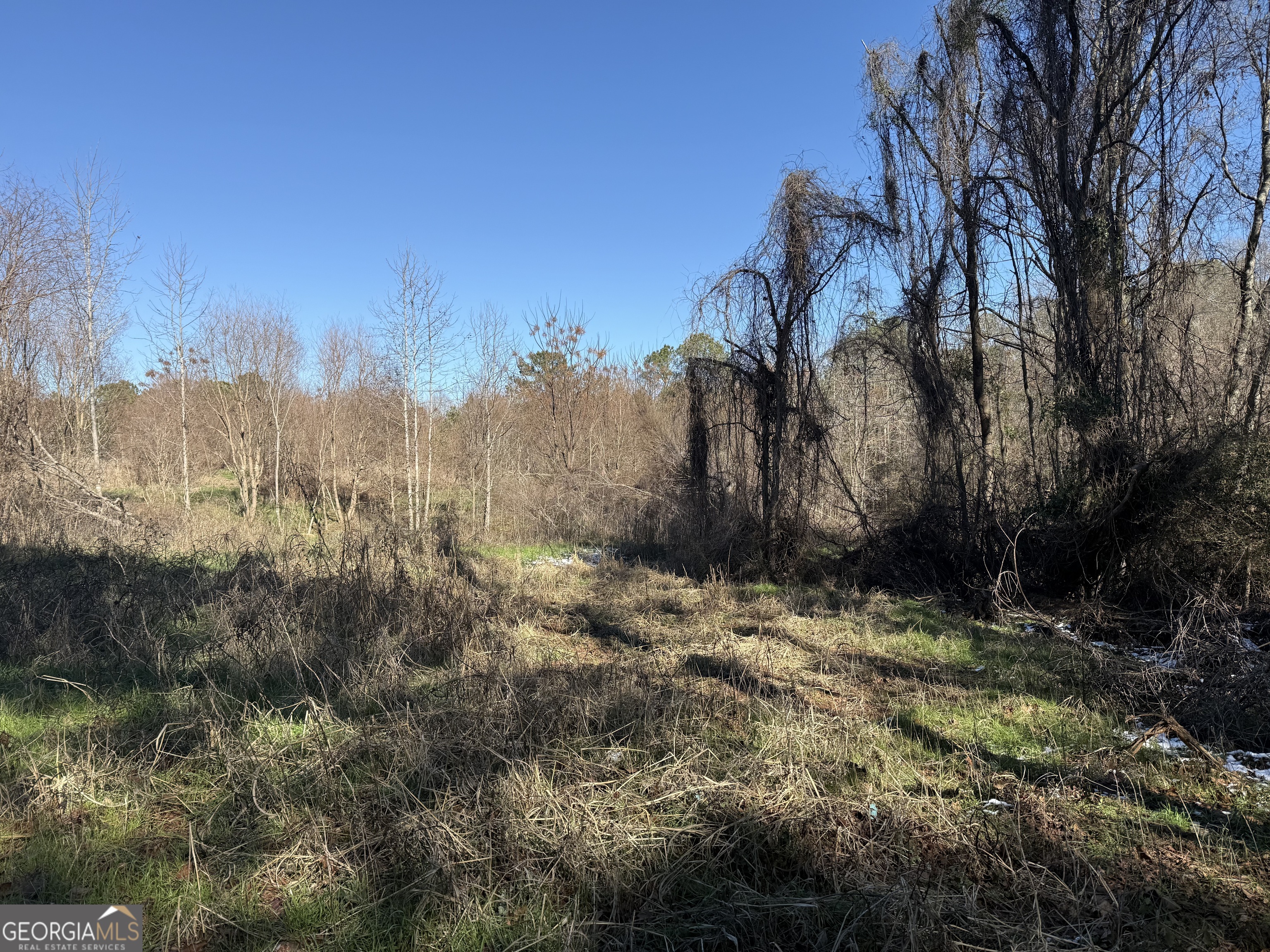 103-acres Pobiddy Road Thomaston, GA 30286 - Photo 11 of 21 a view of a yard with a tree