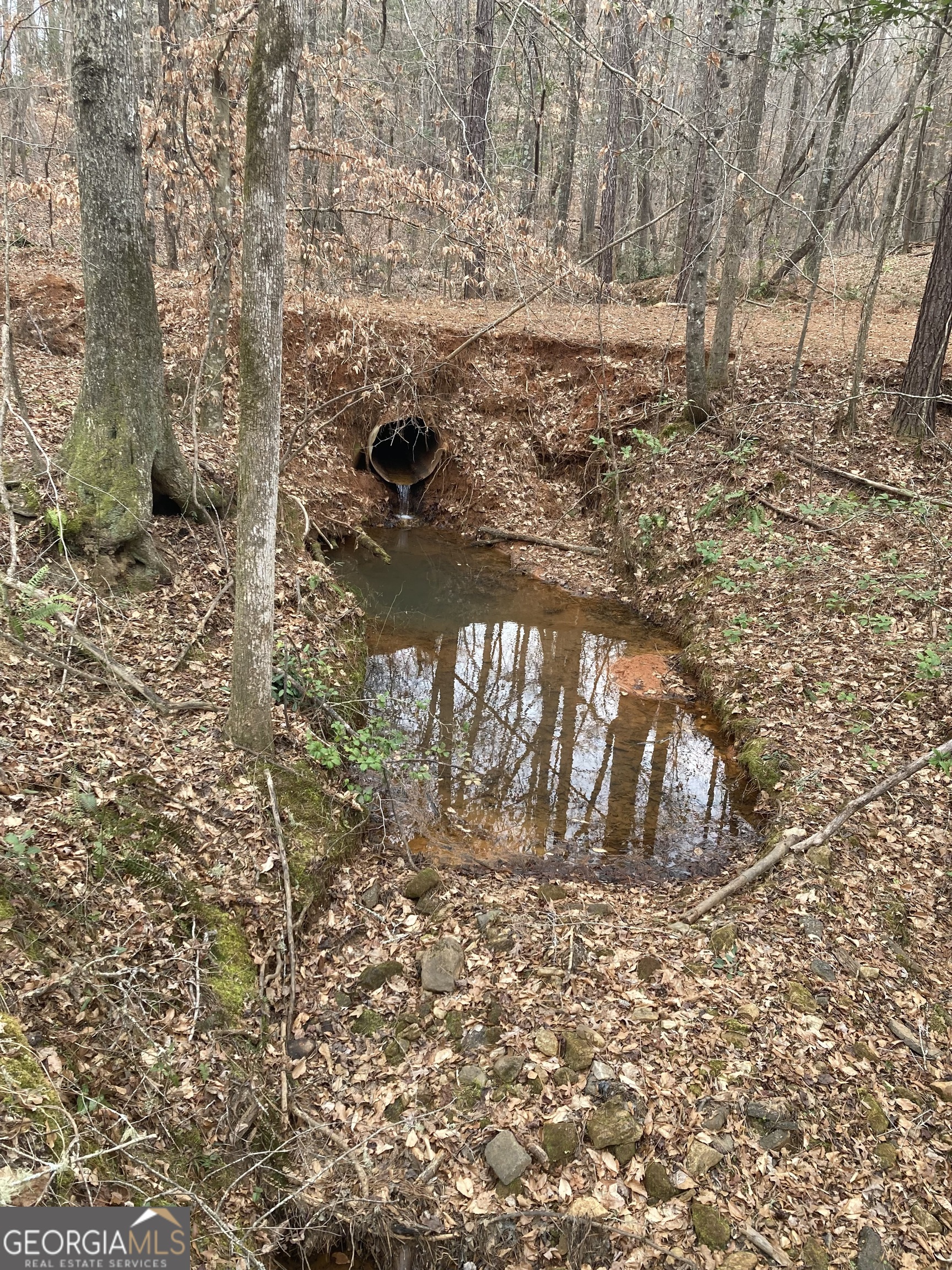 103-acres Pobiddy Road Thomaston, GA 30286 - Photo 13 of 21 a view of outdoor space with deck