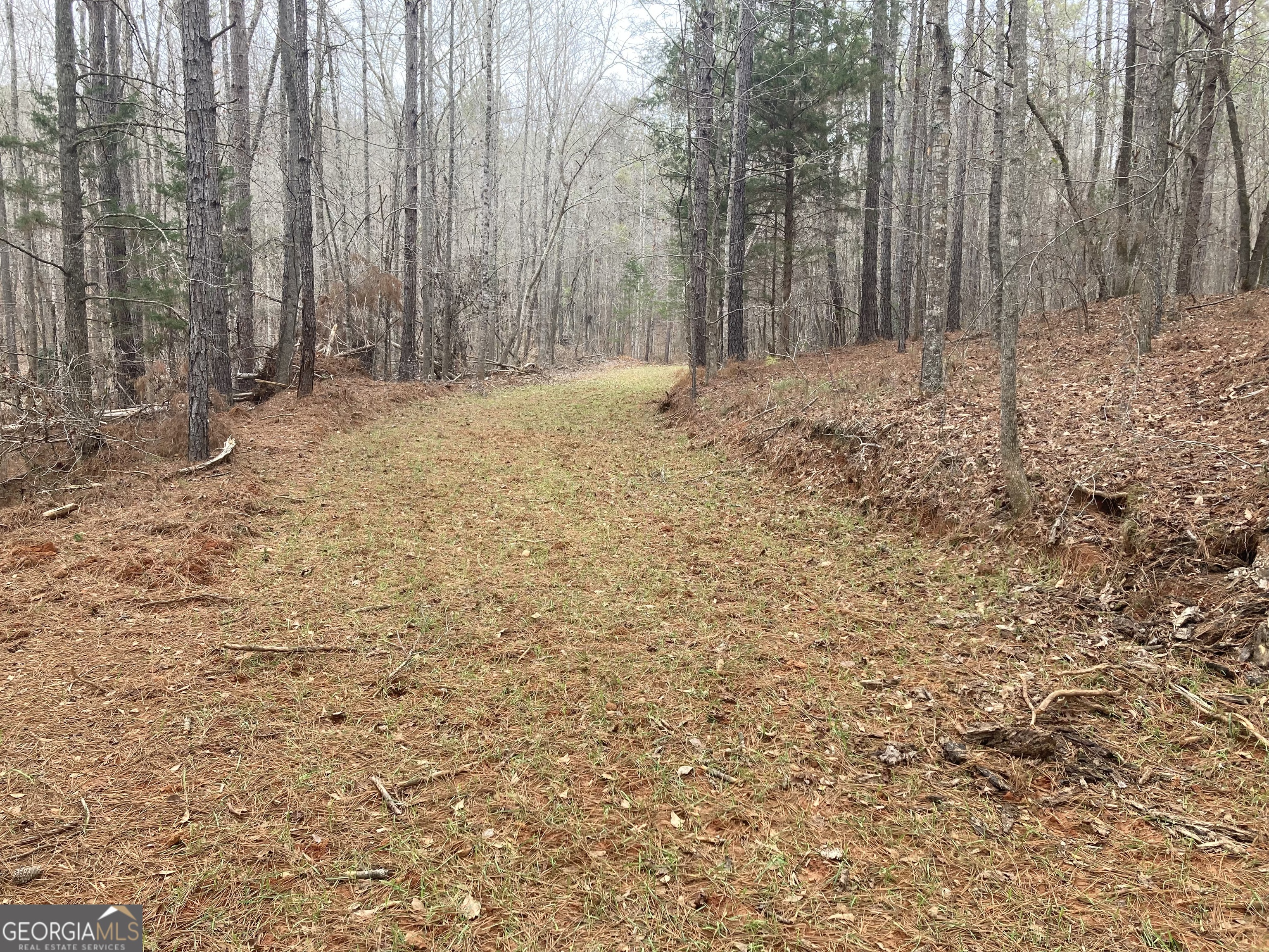 103-acres Pobiddy Road Thomaston, GA 30286 - Photo 18 of 21 a view of wooden fence with trees