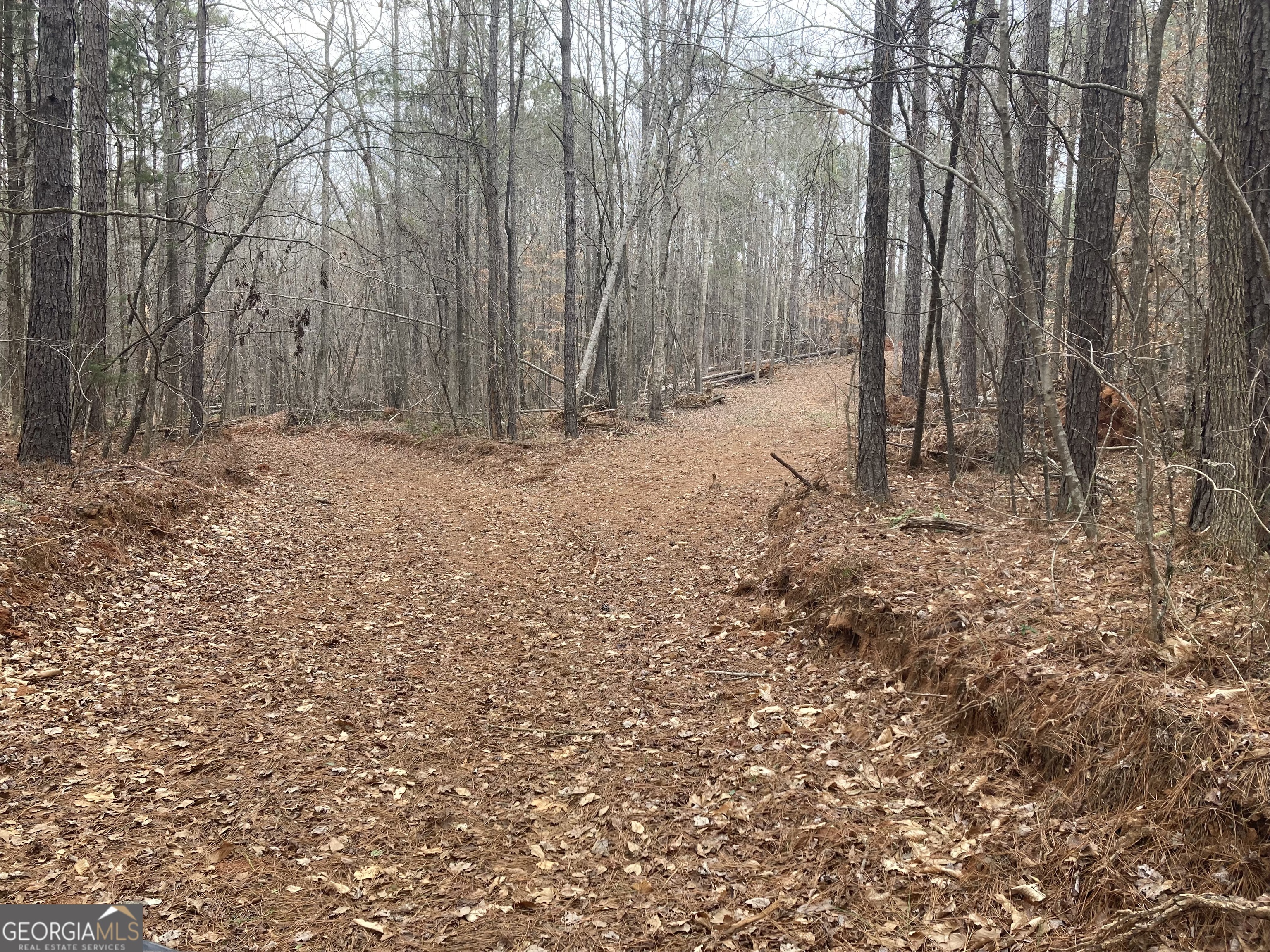 103-acres Pobiddy Road Thomaston, GA 30286 - Photo 20 of 21 a backyard of a house with lots of green space