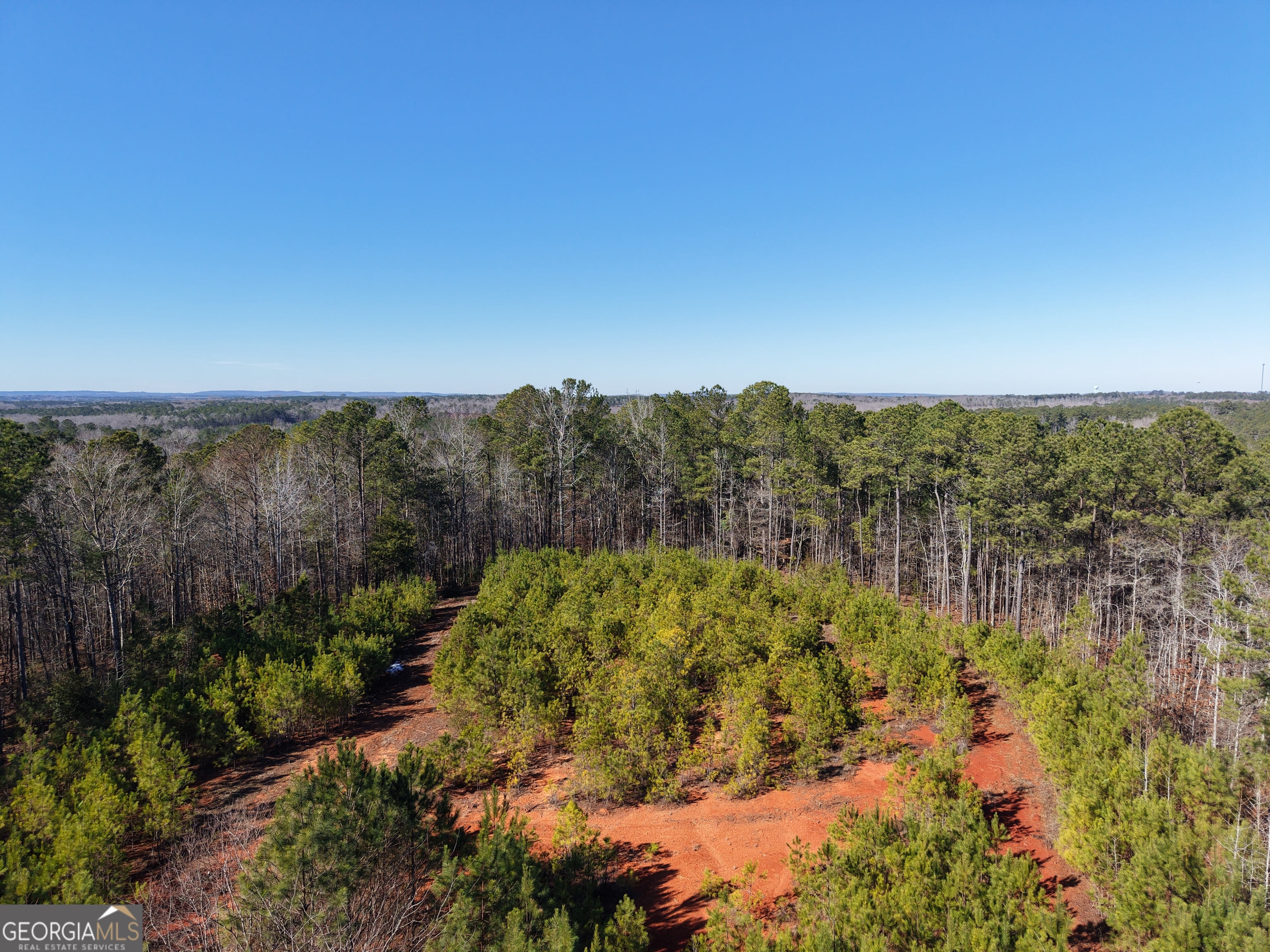 103-acres Pobiddy Road Thomaston, GA 30286 - Photo 9 of 21 a view of lake view and mountain