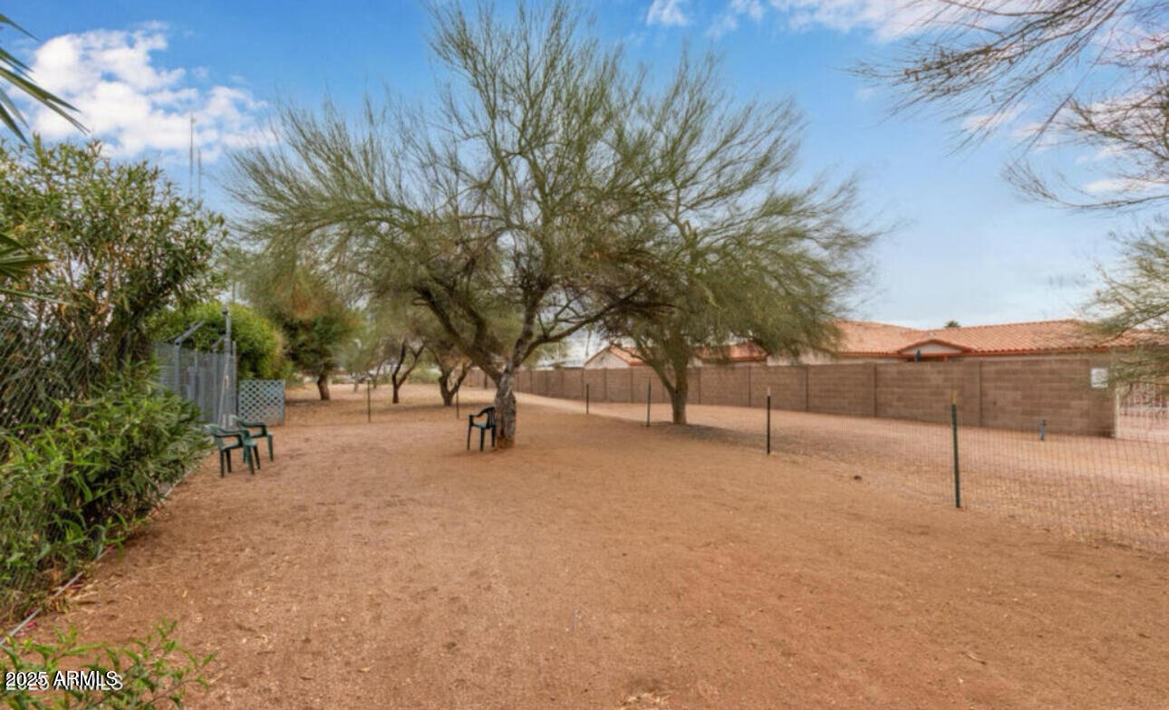 11425 East University Drive, Unit 53 Apache Junction, AZ 85120 - Photo 29 of 29 a view of a tree with tree in front of it
