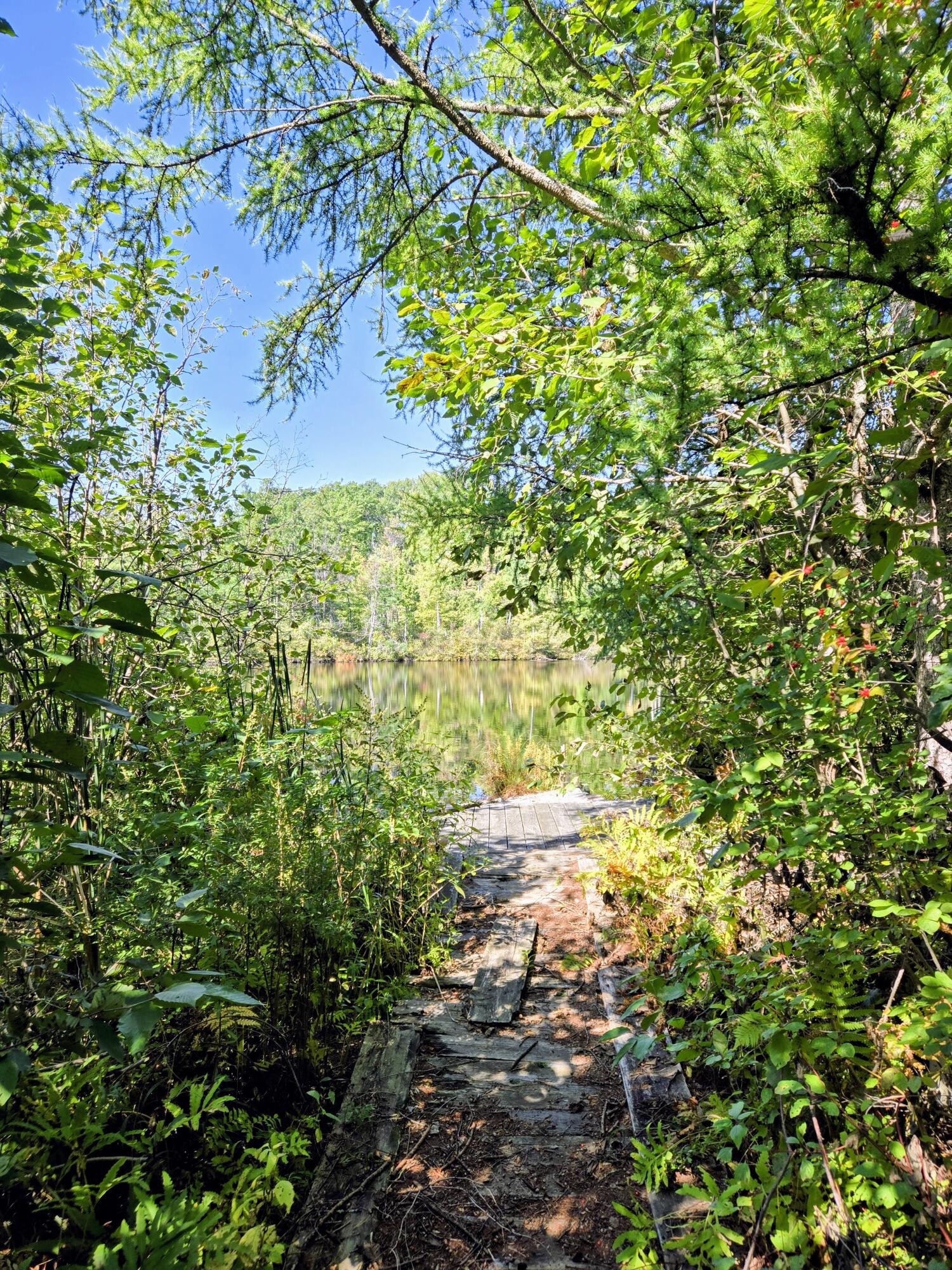8904 Yoder Drive Farwell, MI 48622 - Photo 26 of 27 Shared Dock