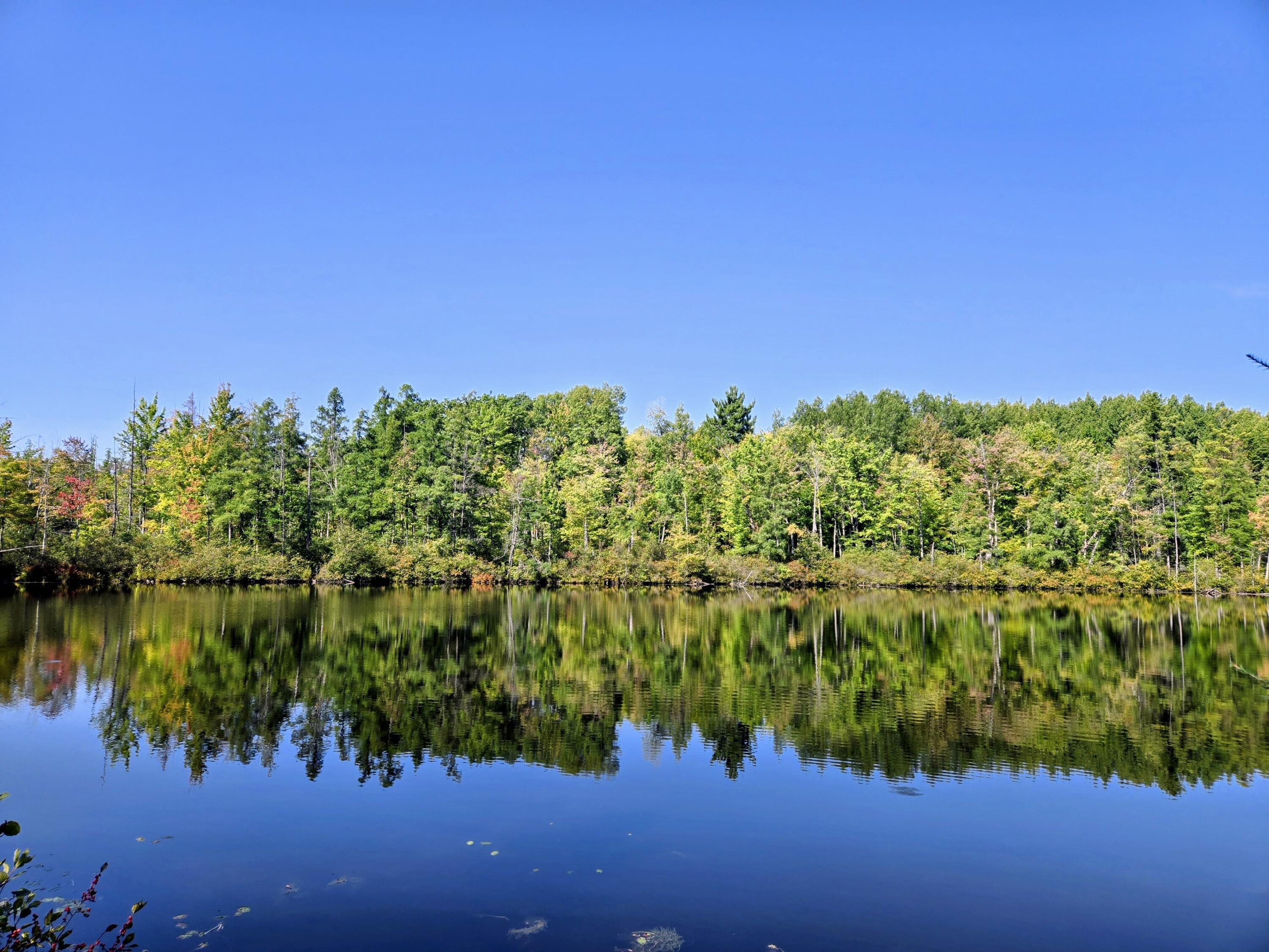 8904 Yoder Drive Farwell, MI 48622 - Photo 27 of 27 WE-E Lake