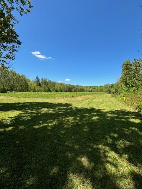88 Madawaska Road Caribou, ME 04736 - Photo 89 of 92 Back pasture