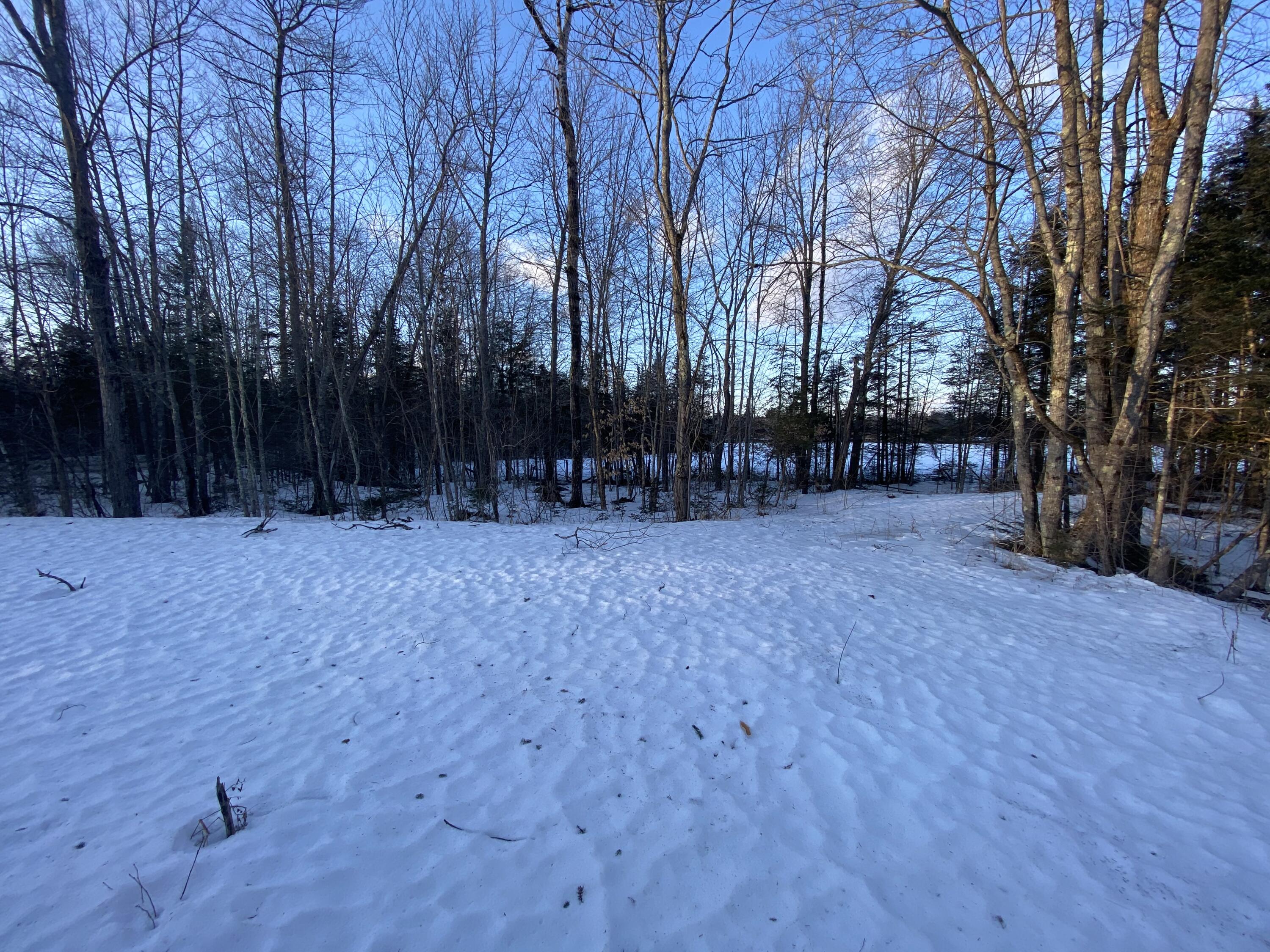 505 Pond Road Bradford, ME 04410 - Photo 15 of 19 Yard