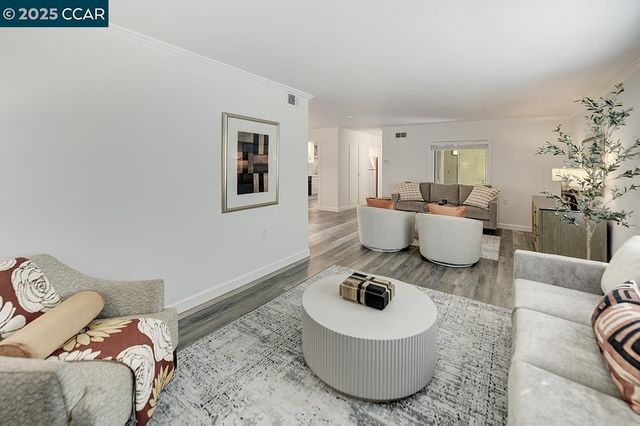 a living room with furniture and a potted plant