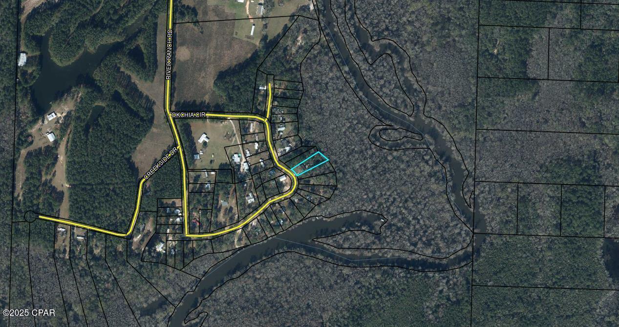 3909 Okchia Circle Vernon, FL 32462 - Photo 3 of 71