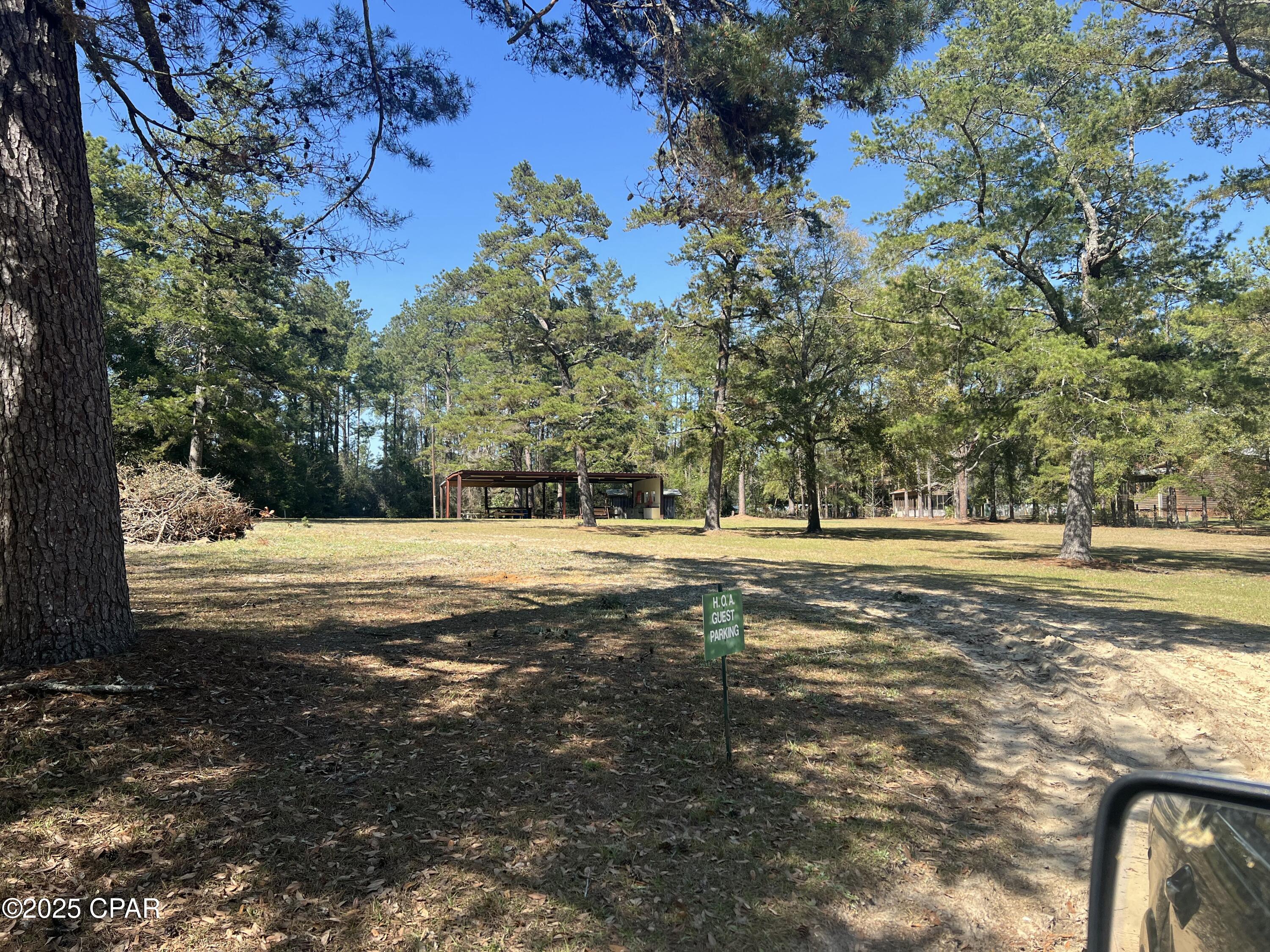 3909 Okchia Circle Vernon, FL 32462 - Photo 4 of 71