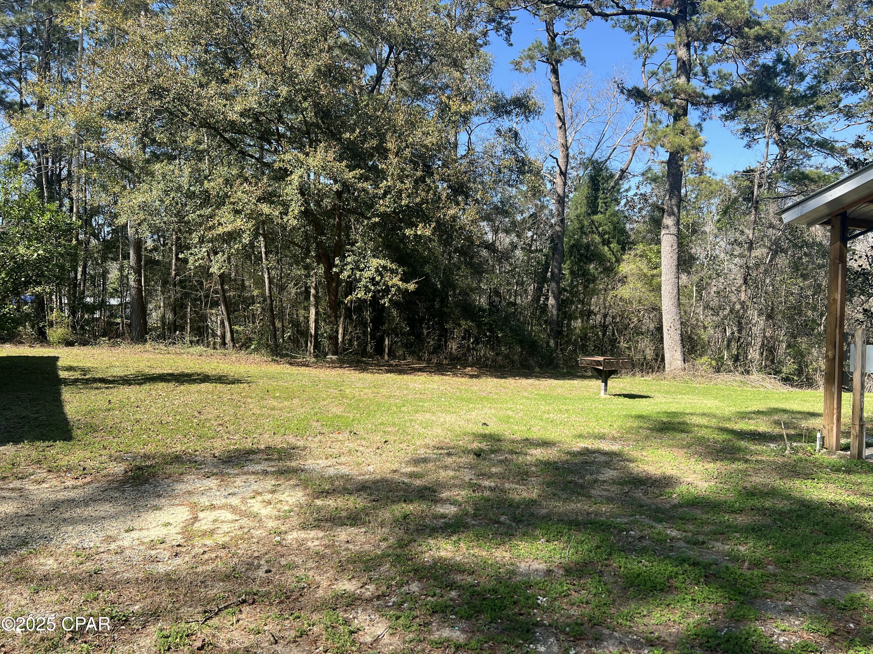 3909 Okchia Circle Vernon, FL 32462 - Photo 49 of 71