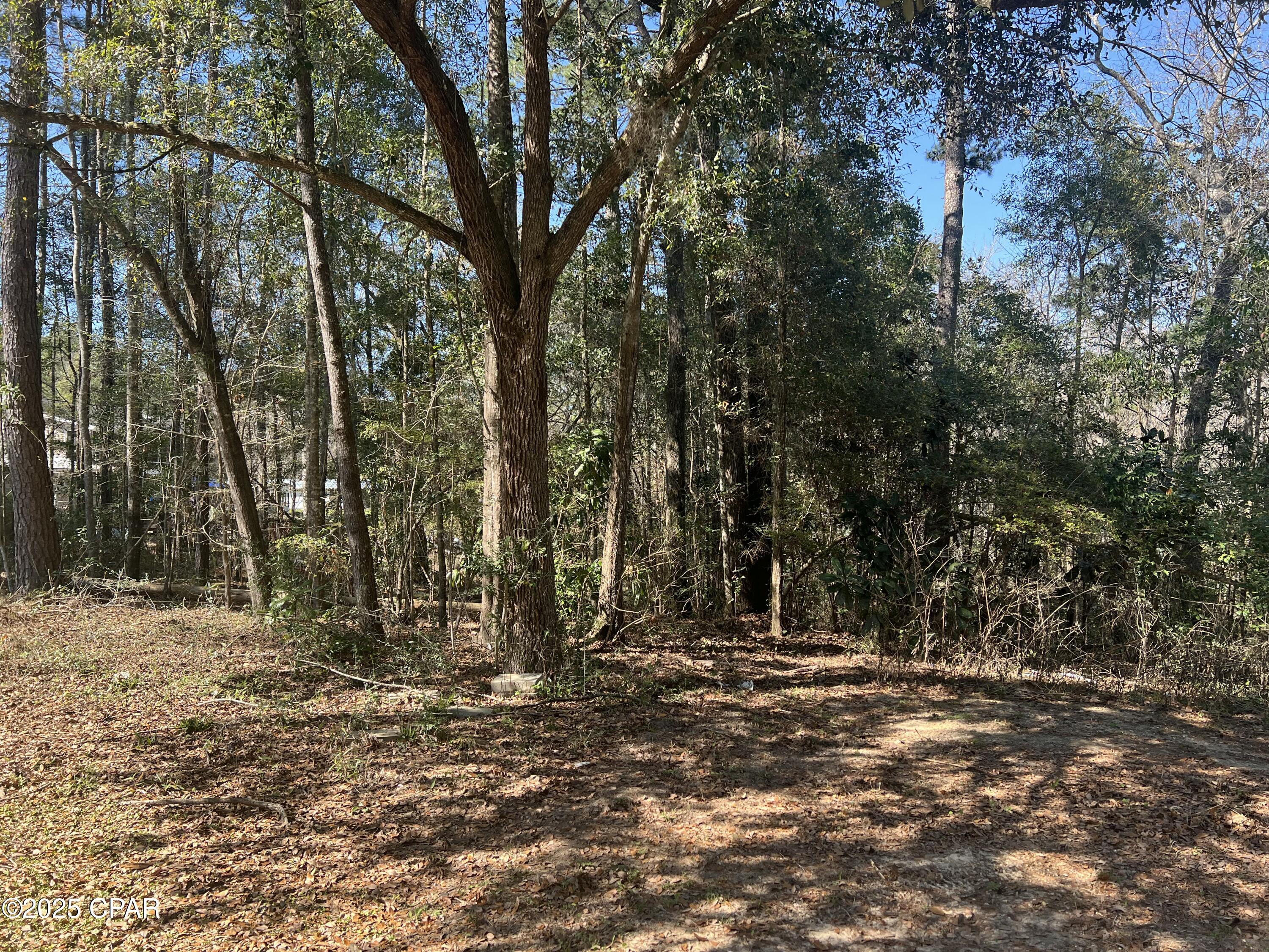 3909 Okchia Circle Vernon, FL 32462 - Photo 53 of 71