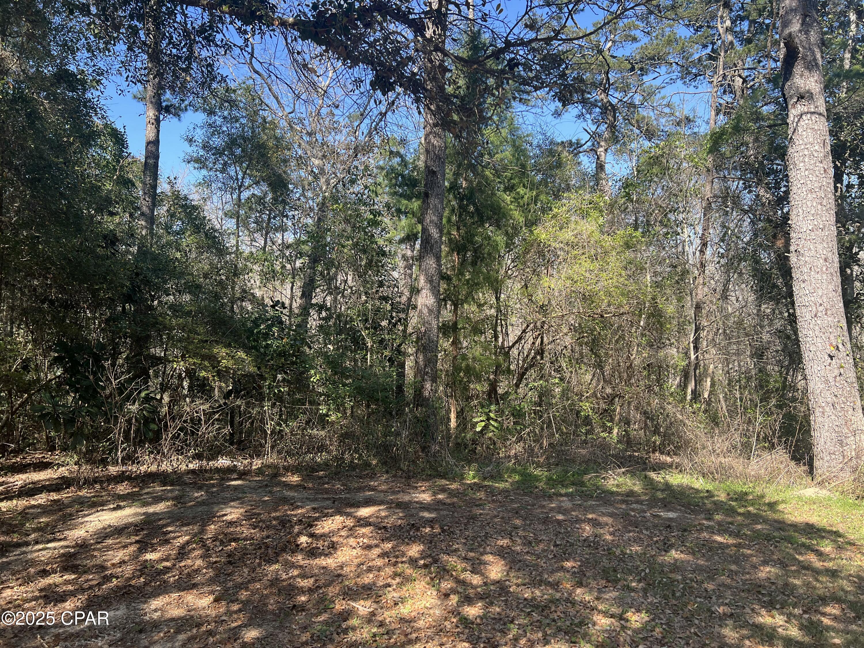 3909 Okchia Circle Vernon, FL 32462 - Photo 54 of 71