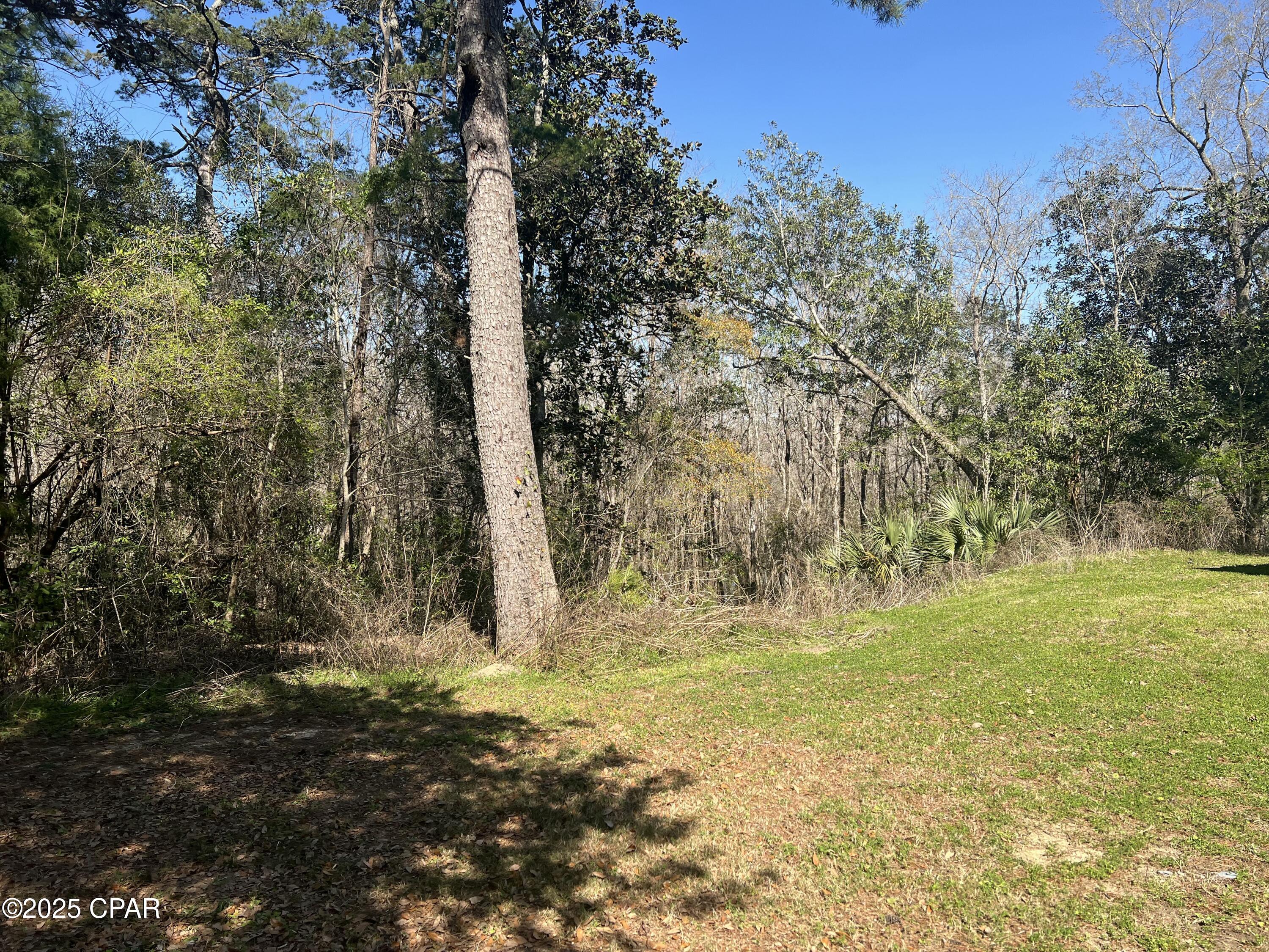 3909 Okchia Circle Vernon, FL 32462 - Photo 55 of 71