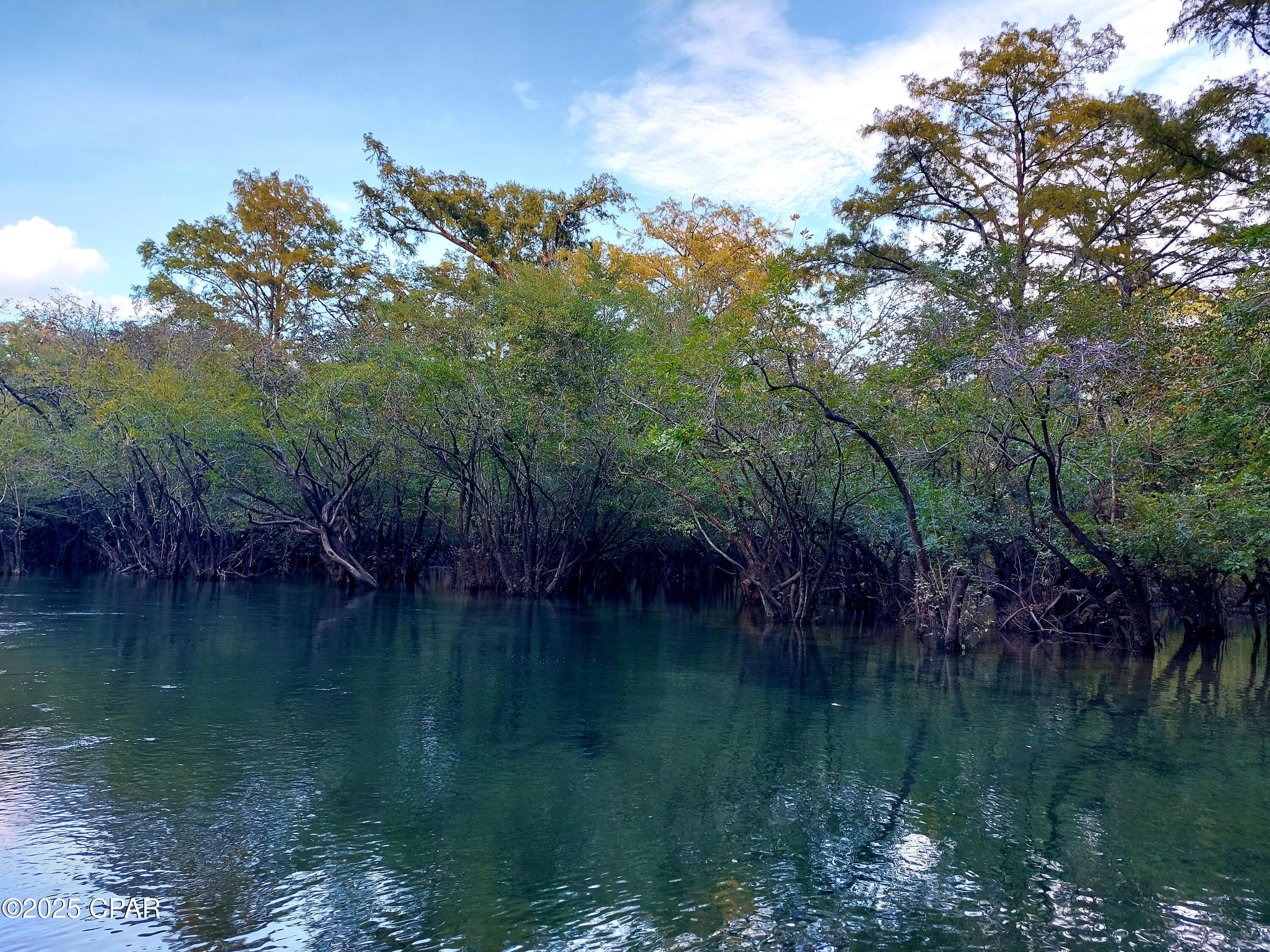 3909 Okchia Circle Vernon, FL 32462 - Photo 68 of 71