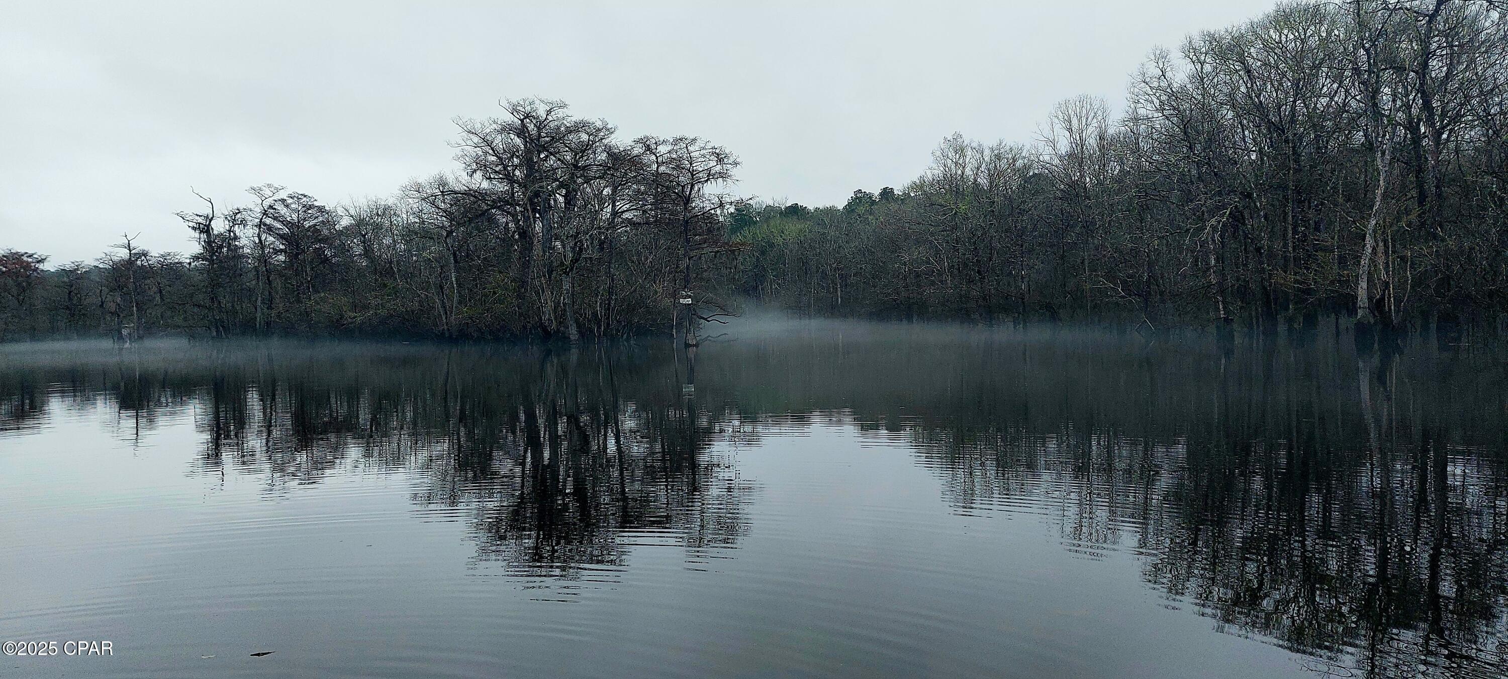 3909 Okchia Circle Vernon, FL 32462 - Photo 70 of 71