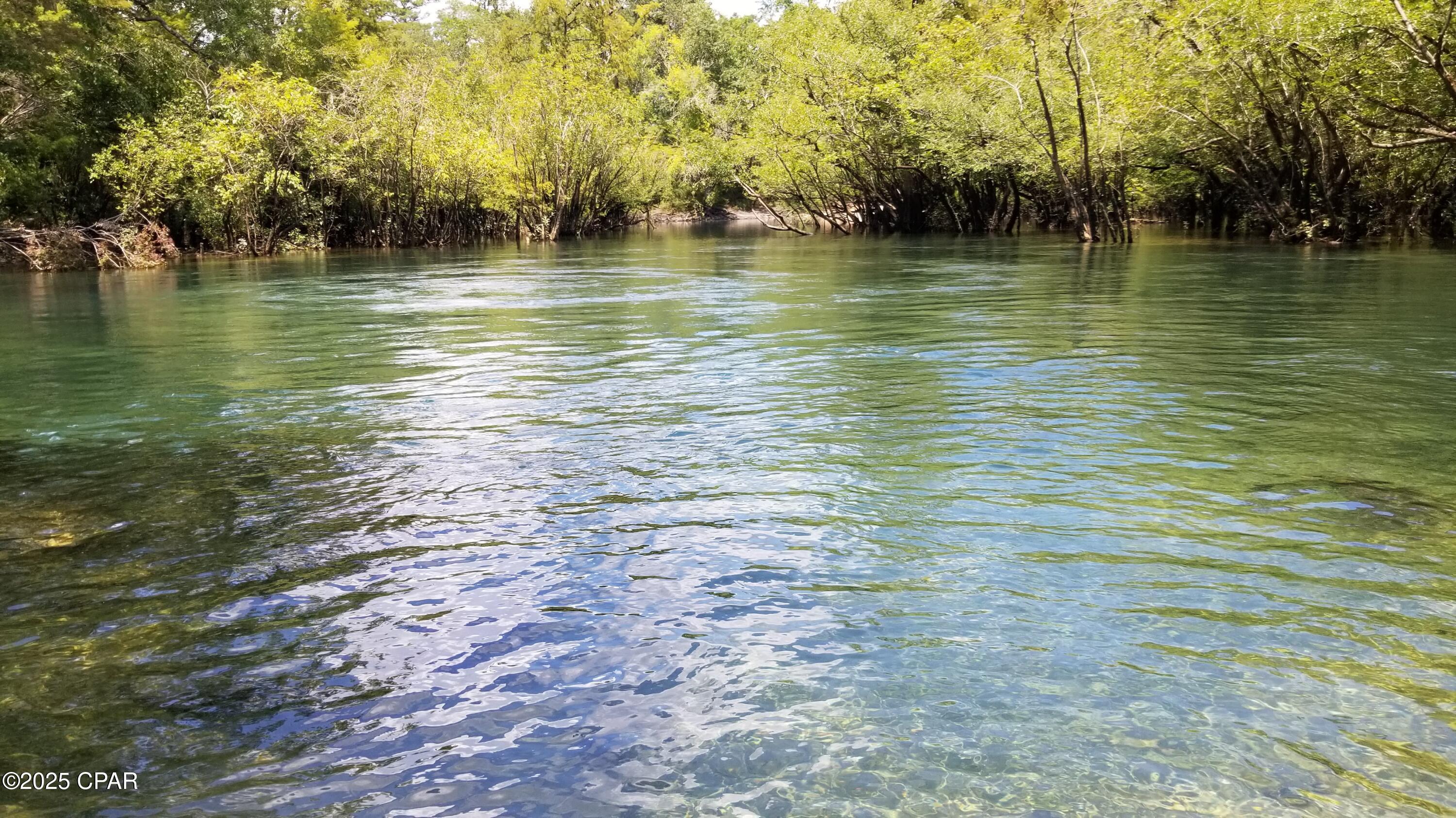 3909 Okchia Circle Vernon, FL 32462 - Photo 7 of 71