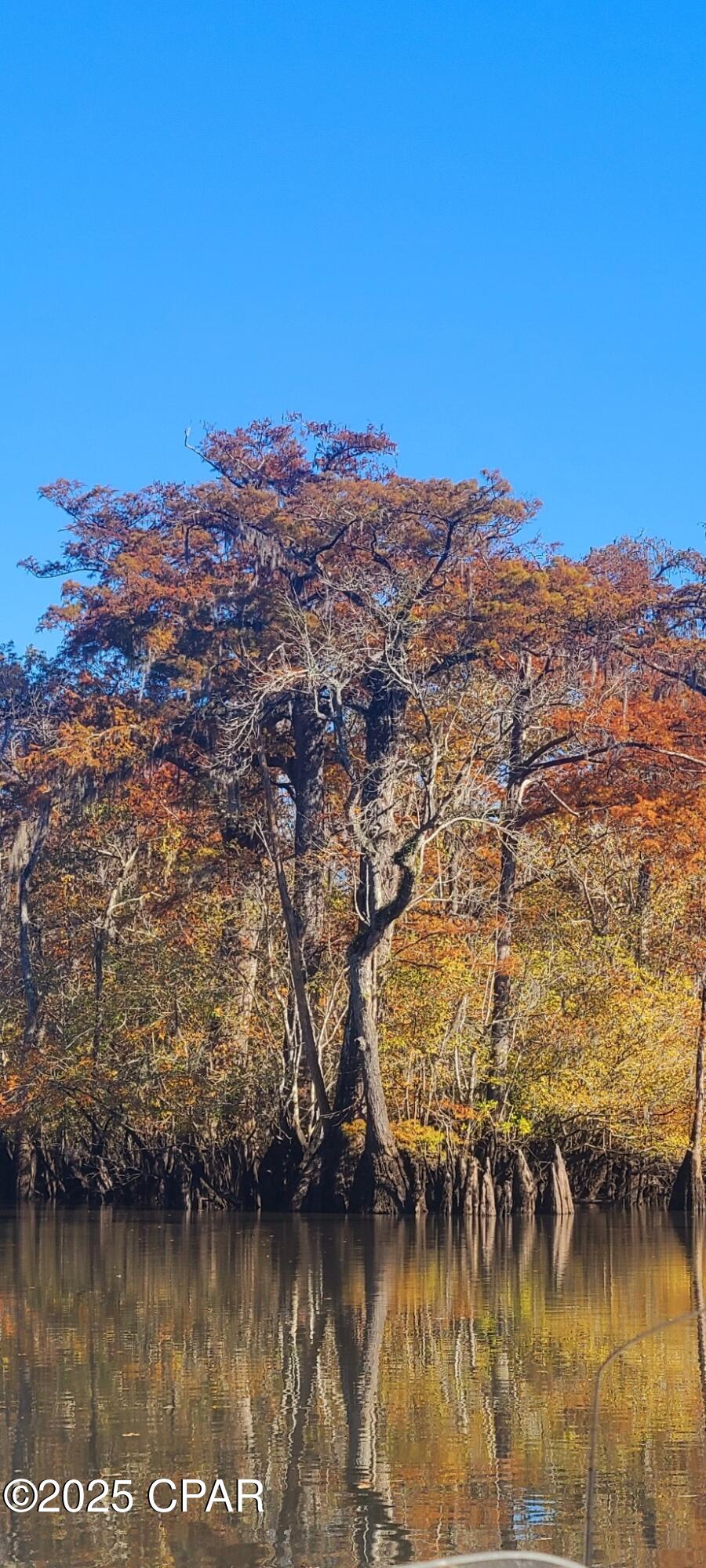 3909 Okchia Circle Vernon, FL 32462 - Photo 8 of 71