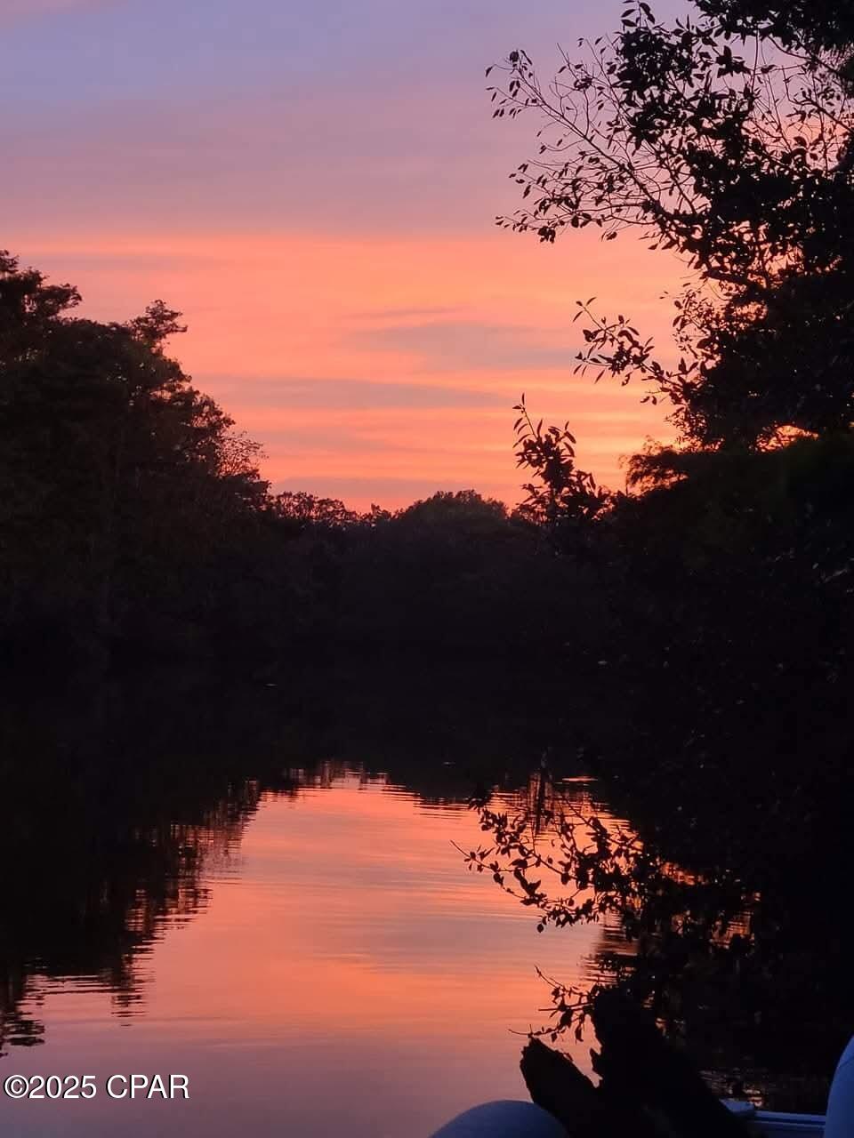 3909 Okchia Circle Vernon, FL 32462 - Photo 9 of 71