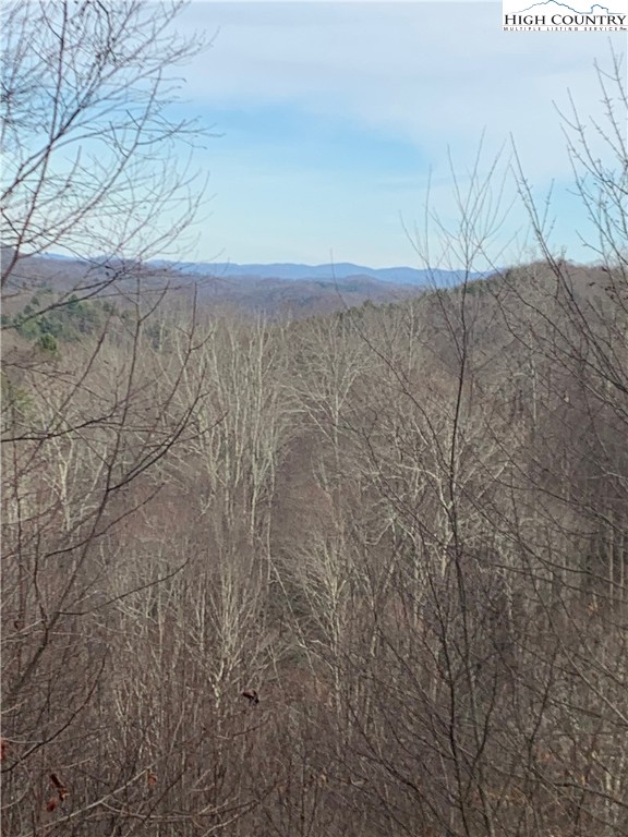 37-ac John Alley Road Lansing, NC 28643 - Photo 1 of 49