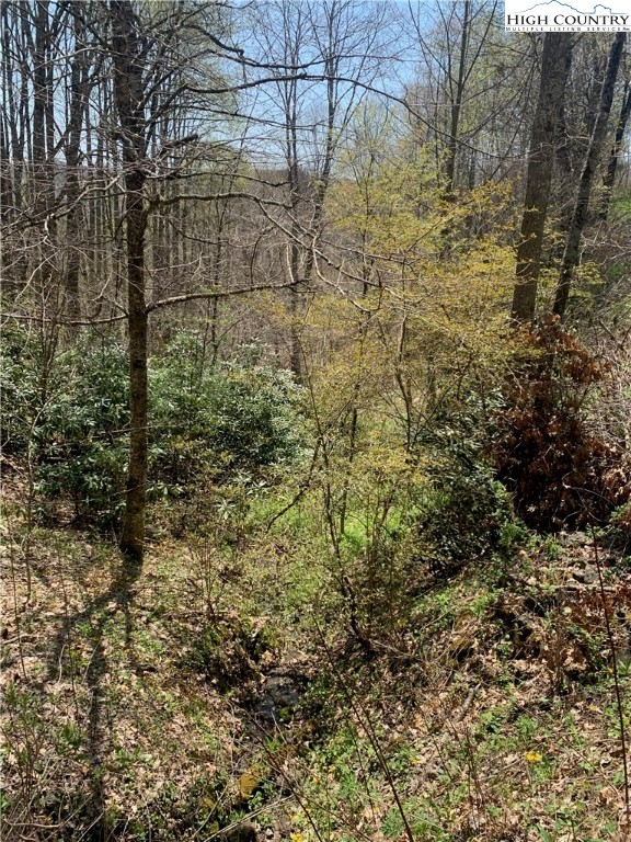 37-ac John Alley Road Lansing, NC 28643 - Photo 14 of 49