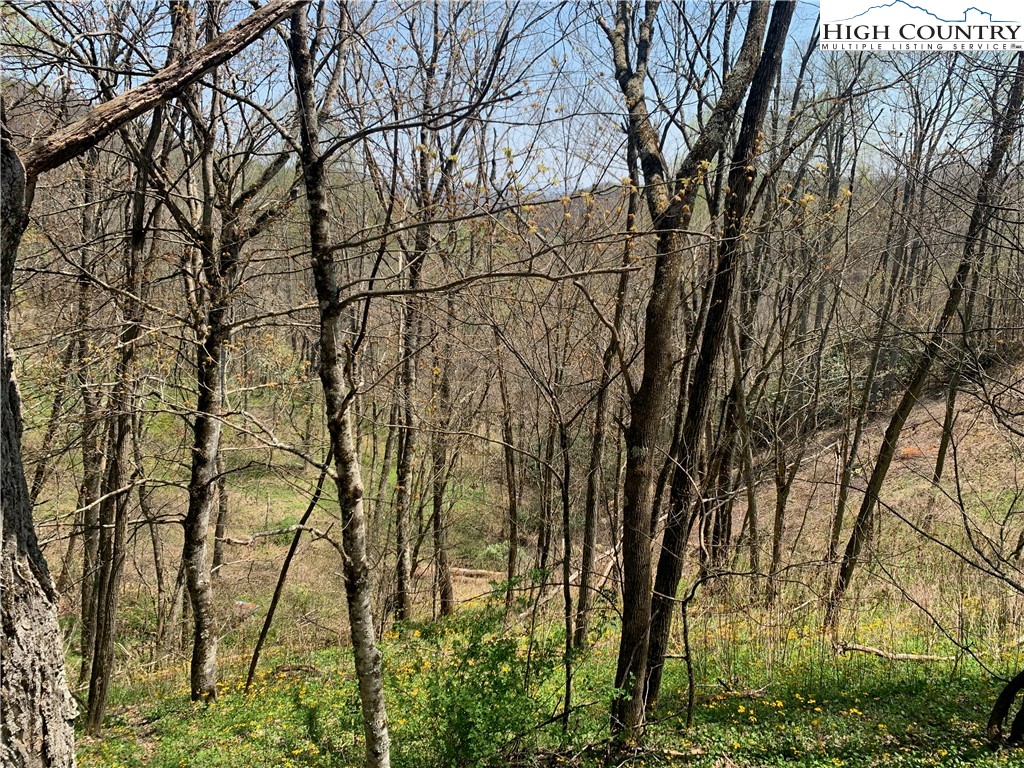 37-ac John Alley Road Lansing, NC 28643 - Photo 19 of 49 a view of a yard with lots of green space