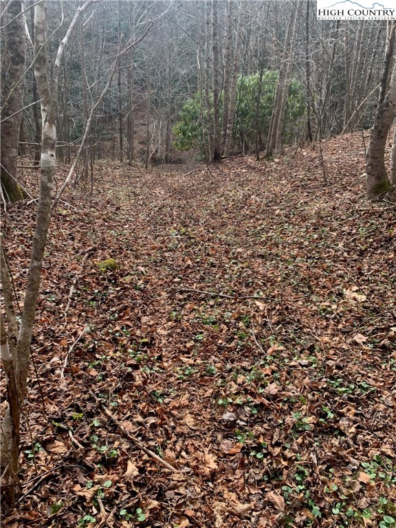 37-ac John Alley Road Lansing, NC 28643 - Photo 32 of 49