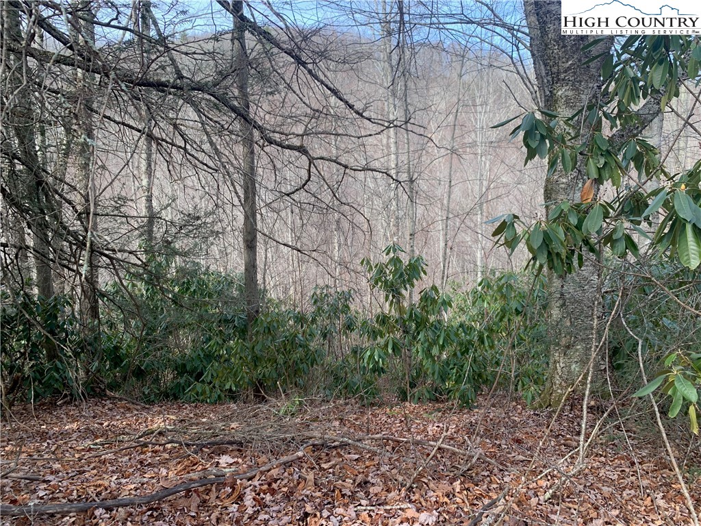 37-ac John Alley Road Lansing, NC 28643 - Photo 38 of 49