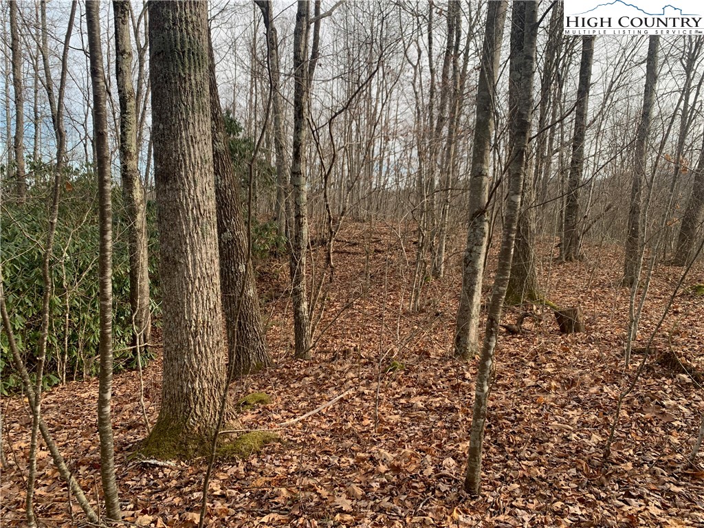 37-ac John Alley Road Lansing, NC 28643 - Photo 42 of 49 a view of a yard