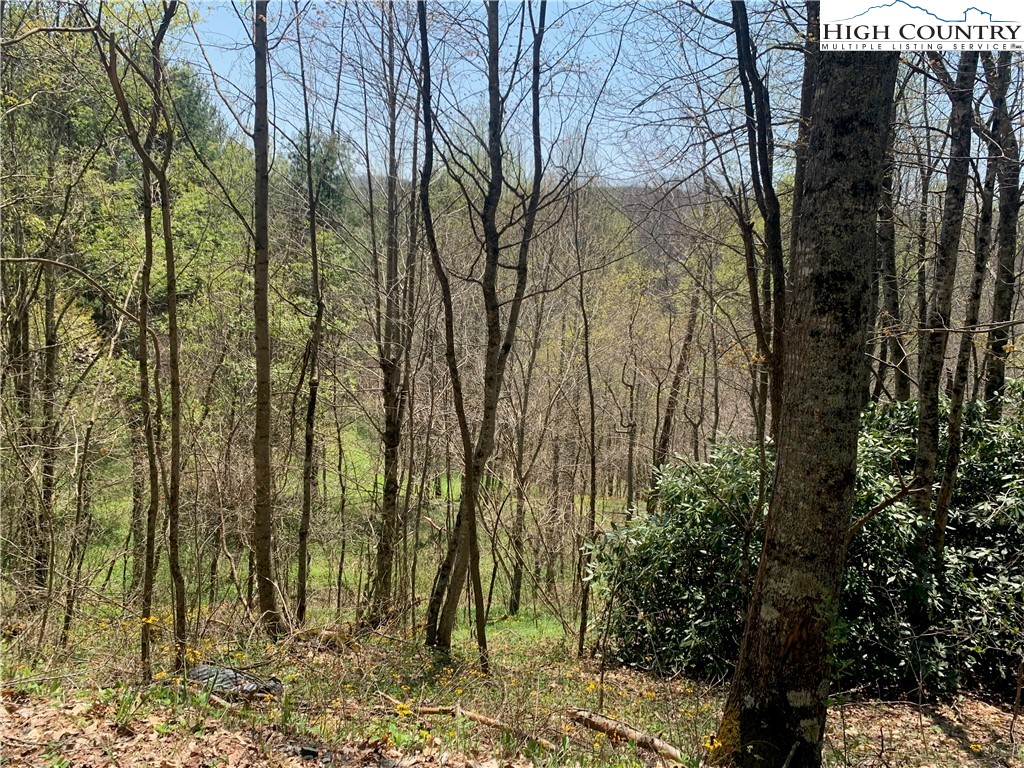37-ac John Alley Road Lansing, NC 28643 - Photo 5 of 49
