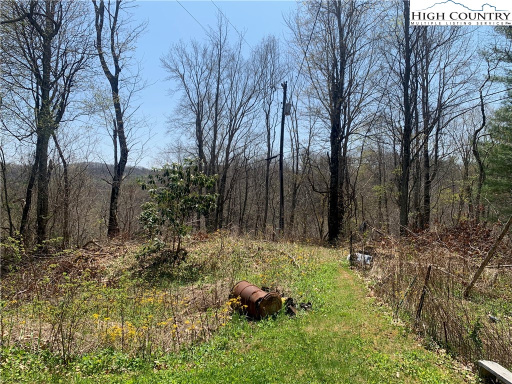 37-ac John Alley Road Lansing, NC 28643 - Photo 8 of 49